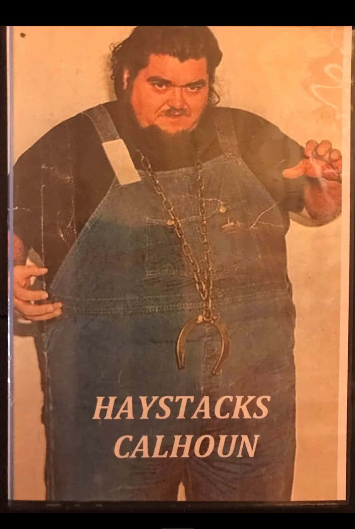Haystacks Calhoun, denim overalls, horseshoe chain necklace, HD Phone Wallpaper