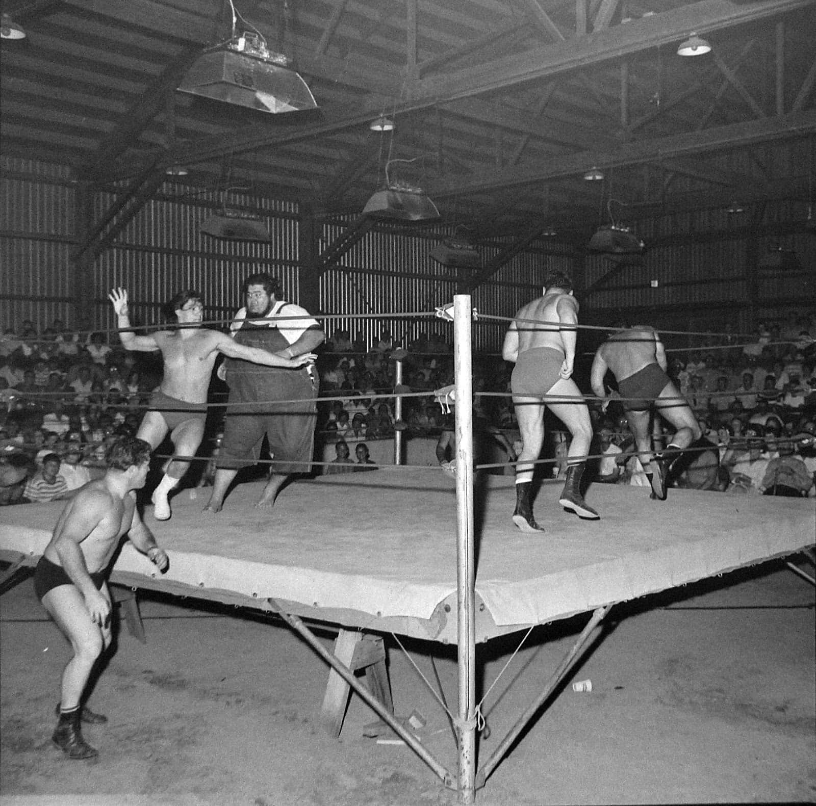 Haystacks Calhoun, wrestlers, ring, HD Desktop Wallpaper