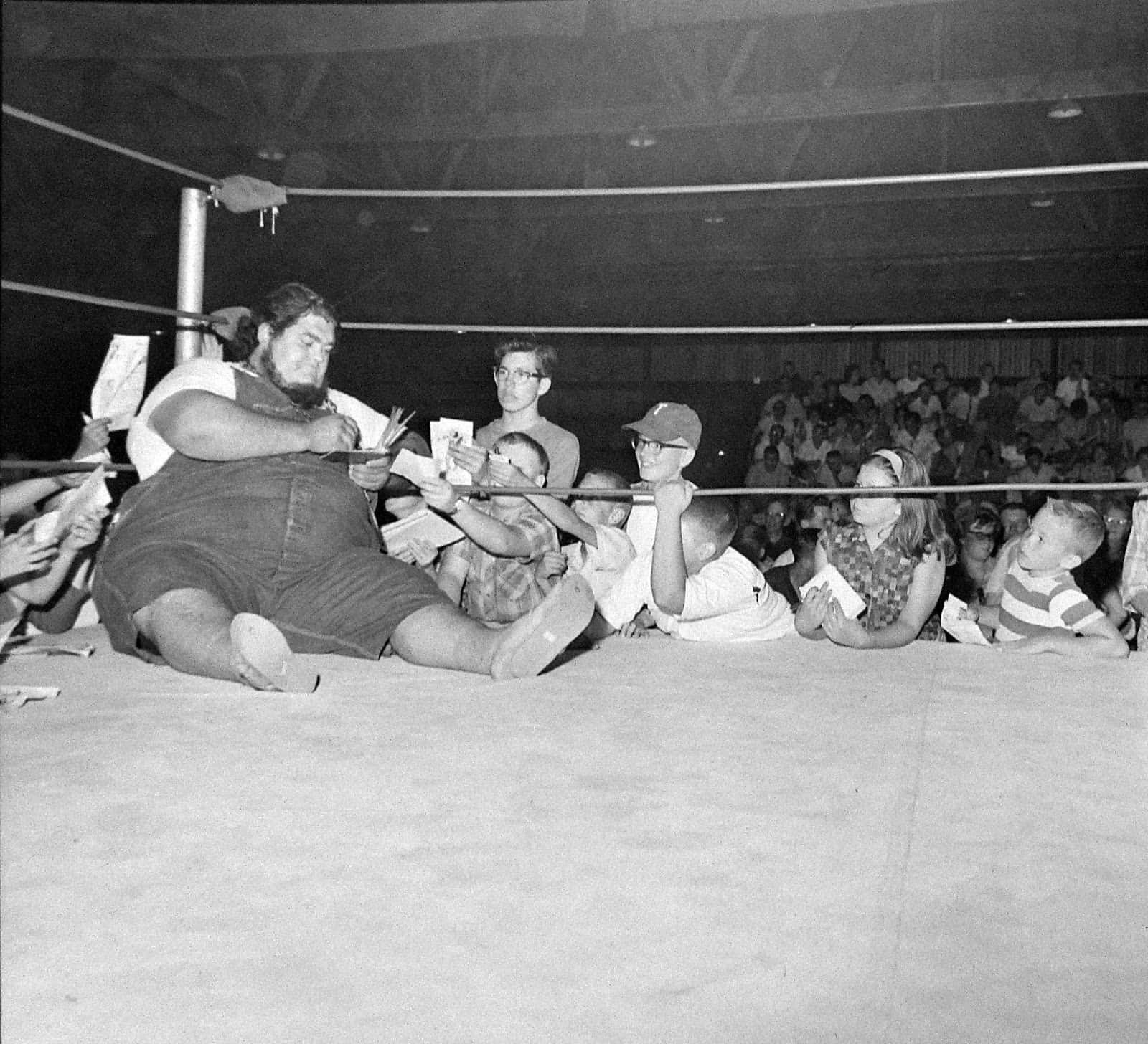 Haystacks Calhoun, ring, children, HD Desktop Wallpaper