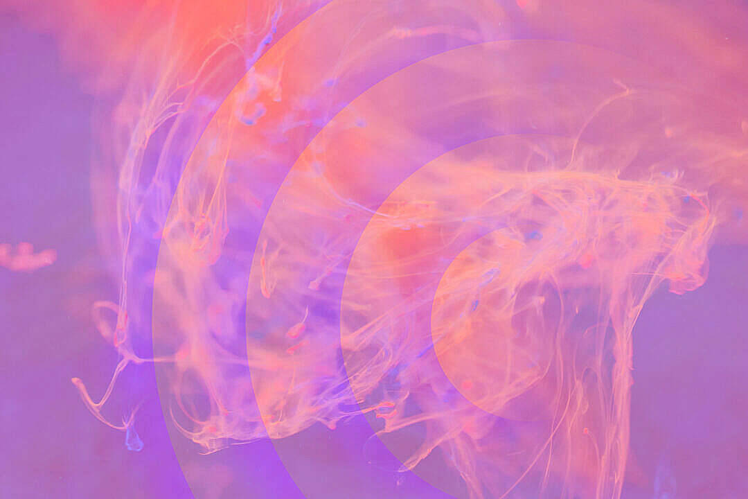powder pink, purple ink swirls, gradient background, SD Desktop Wallpaper