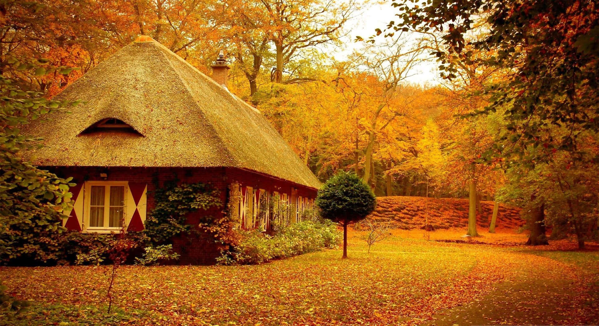 cozy thatched-roof cottage, vibrant autumn forest, golden leaves, Full HD Desktop Wallpaper