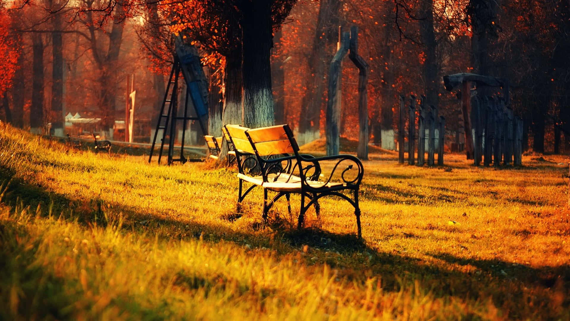 HD Autumn, wooden bench, autumn park, Full HD Desktop Wallpaper