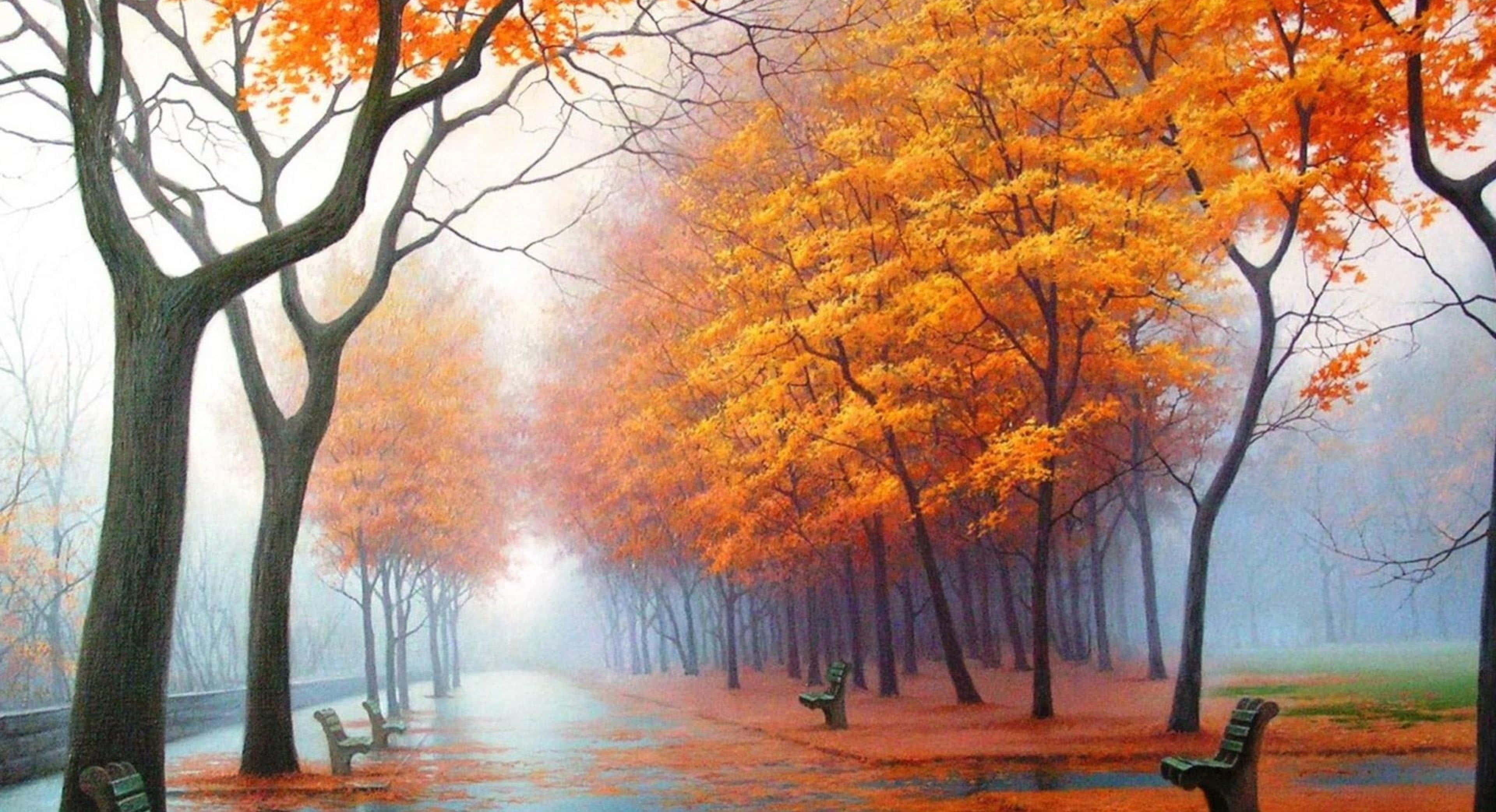 HD Autumn, autumn path, vibrant orange trees, 4K Desktop Wallpaper