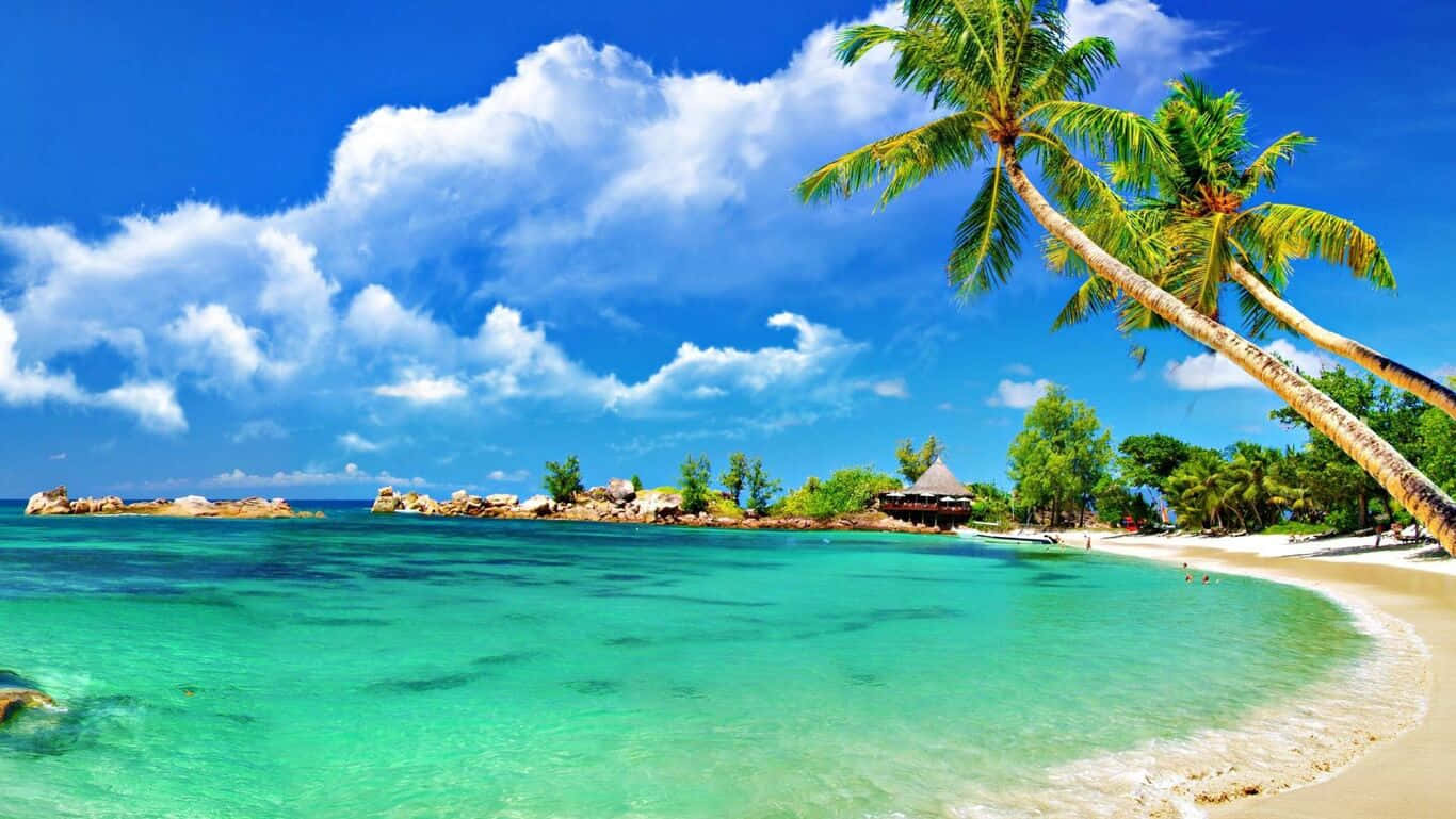 sunset, turquoise waters, white sand, HD Desktop Wallpaper