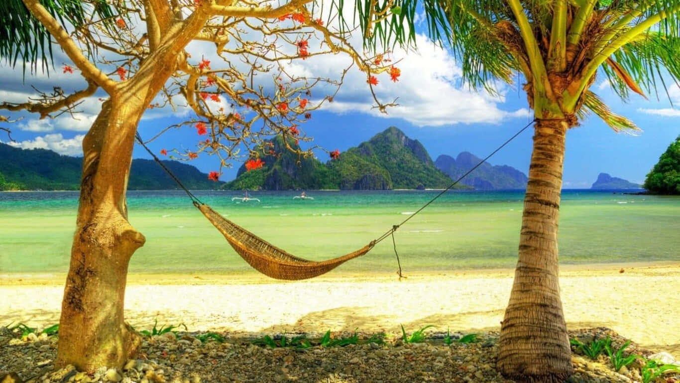 woven hammock, flowering tree, palm tree, HD Desktop Wallpaper