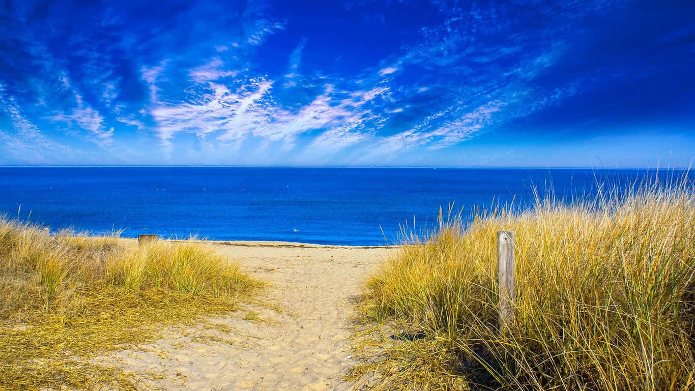 HD Beach, white sand beaches, golden dunes, HD Desktop Wallpaper
