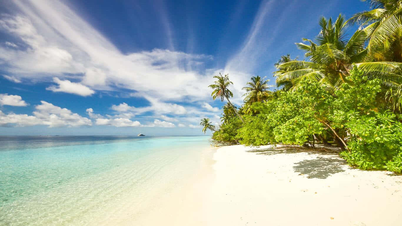 tropical beach, white sand, turquoise water, HD Desktop Wallpaper
