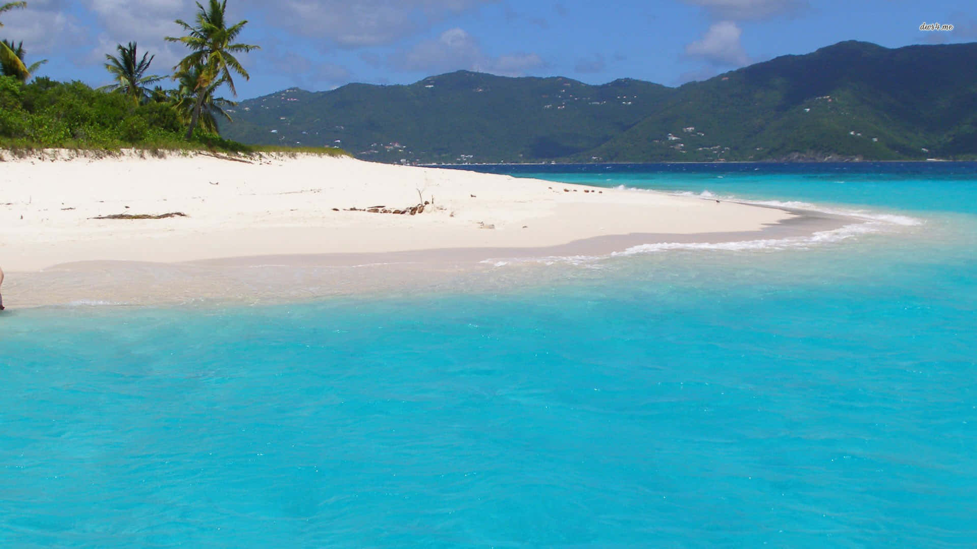 white sand beach, turquoise waters, palm trees, Full HD Desktop Wallpaper