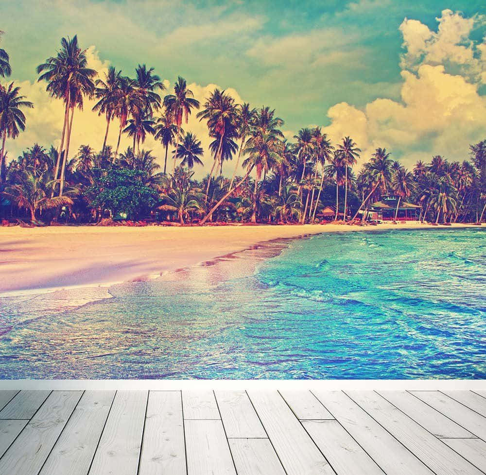 retro miami, tropical beach, palm trees, SD Desktop Wallpaper