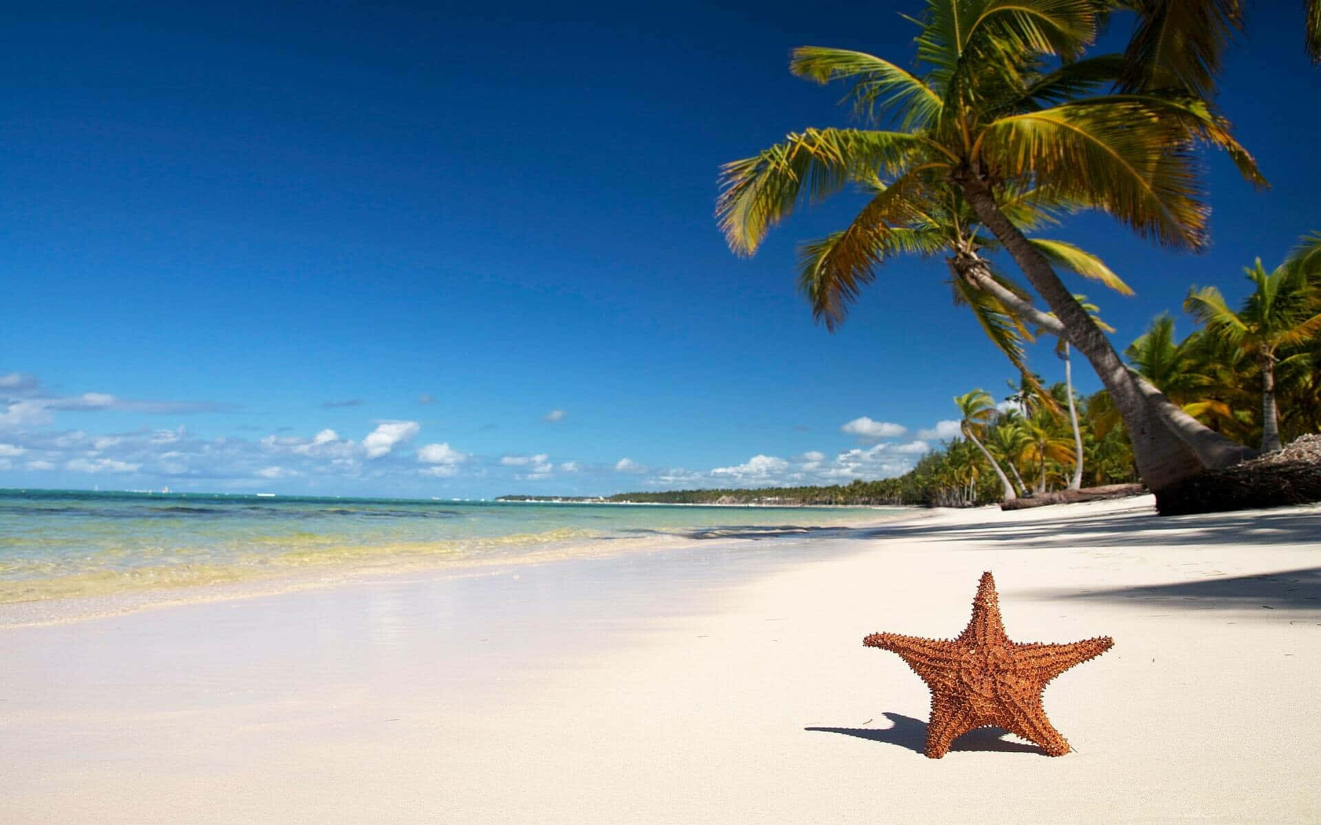 1920x1080, hd beach, golden sand, Full HD Desktop Wallpaper