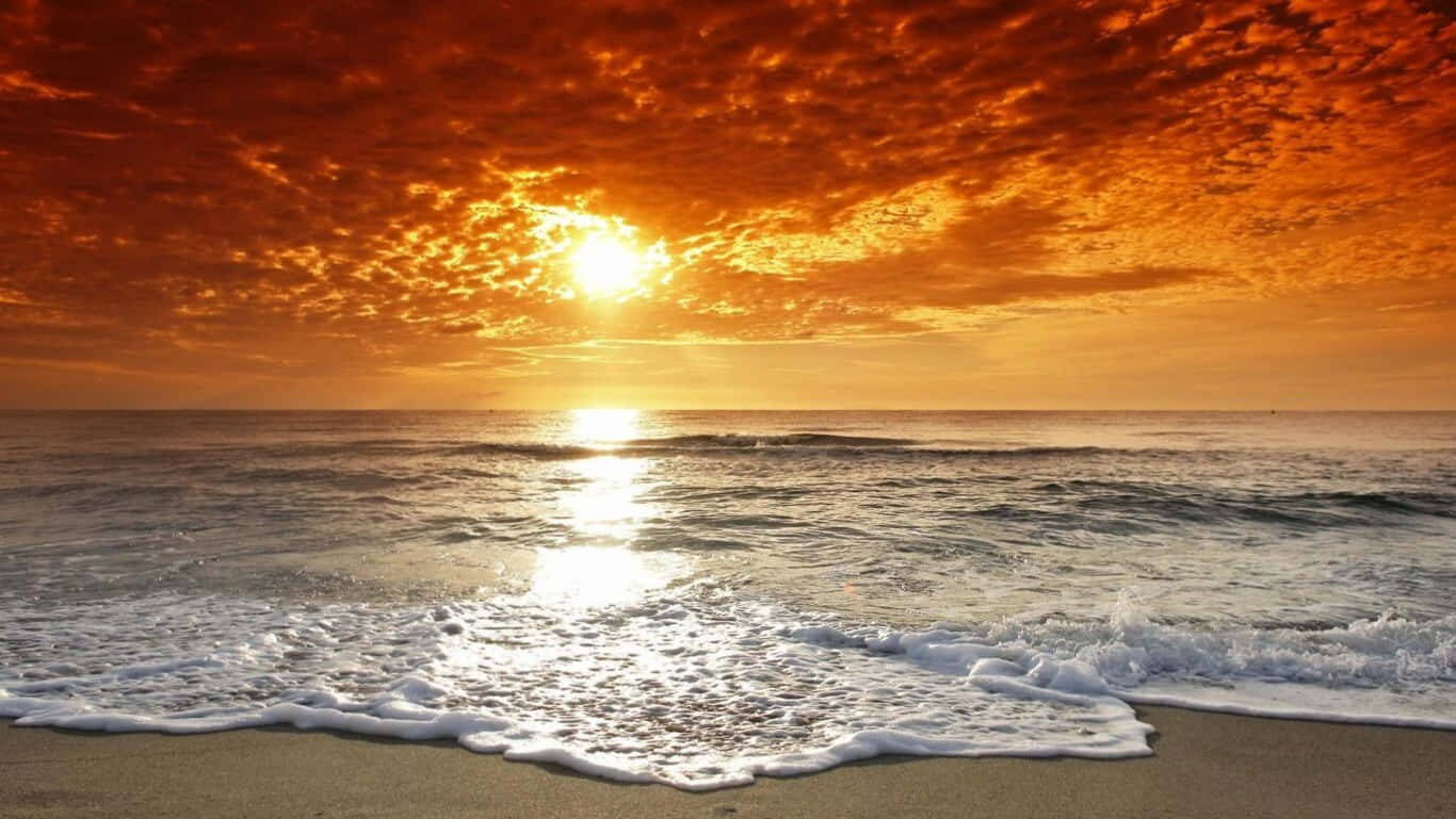 fiery sunset, sandy beach, golden light, HD Desktop Wallpaper