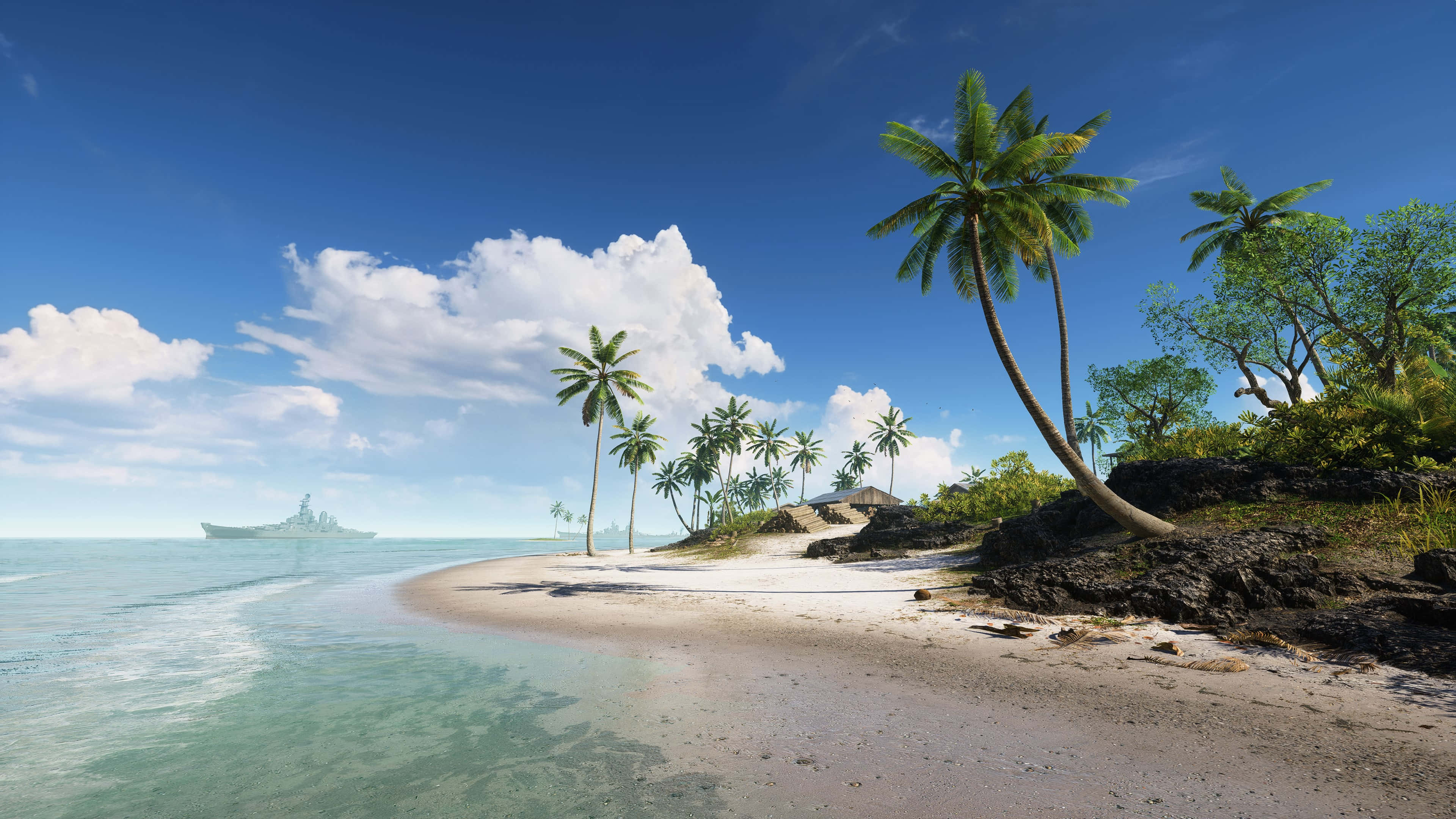 tropical beach, palm trees, clear turquoise water, 4K Desktop Wallpaper