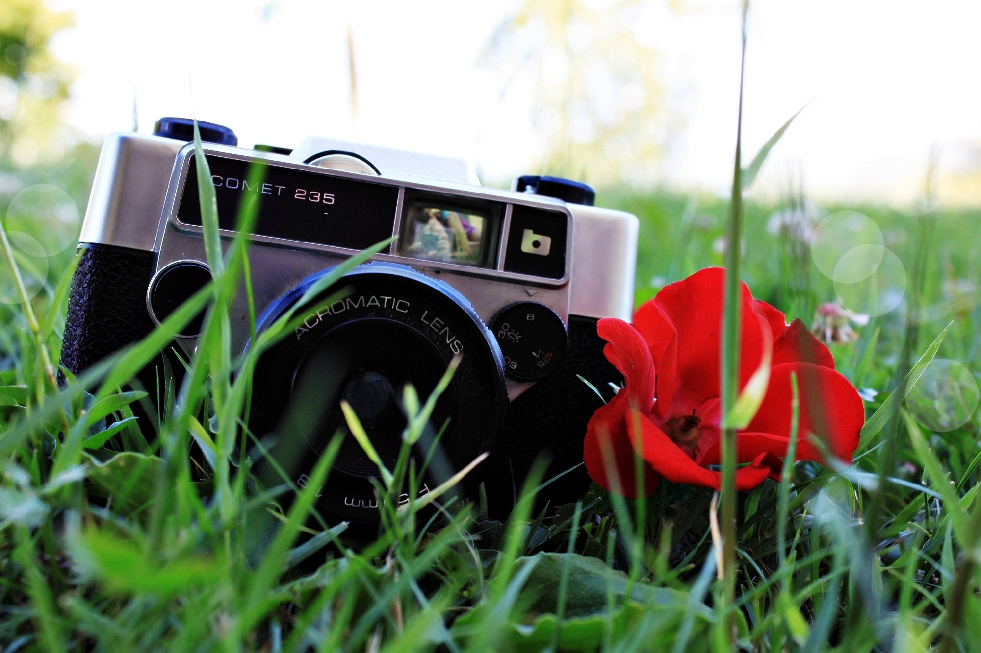 HD Camera, red poppy, vintage silver camera, Full HD Desktop Wallpaper