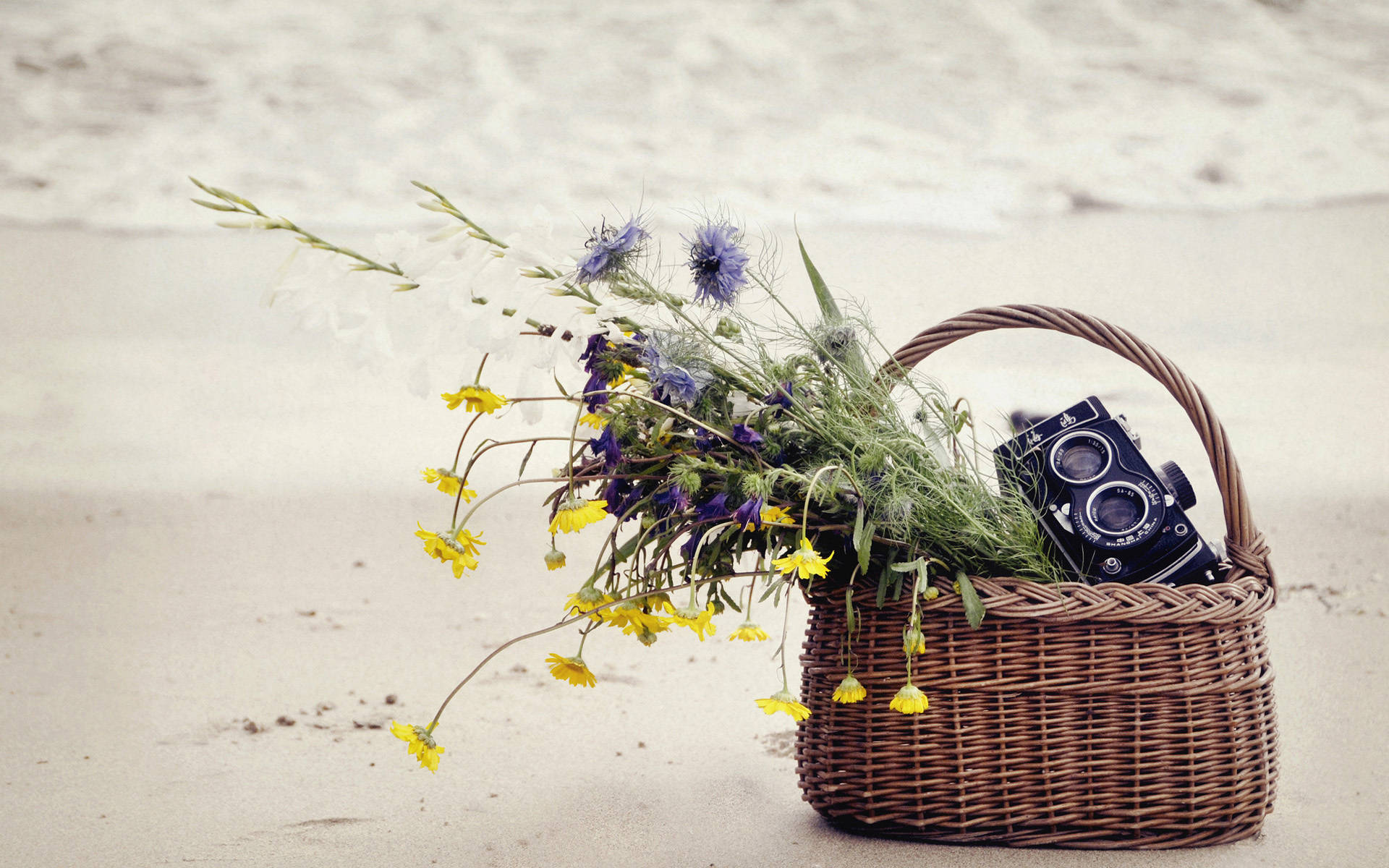 HD Camera, wicker basket, wildflowers, Full HD Desktop Wallpaper