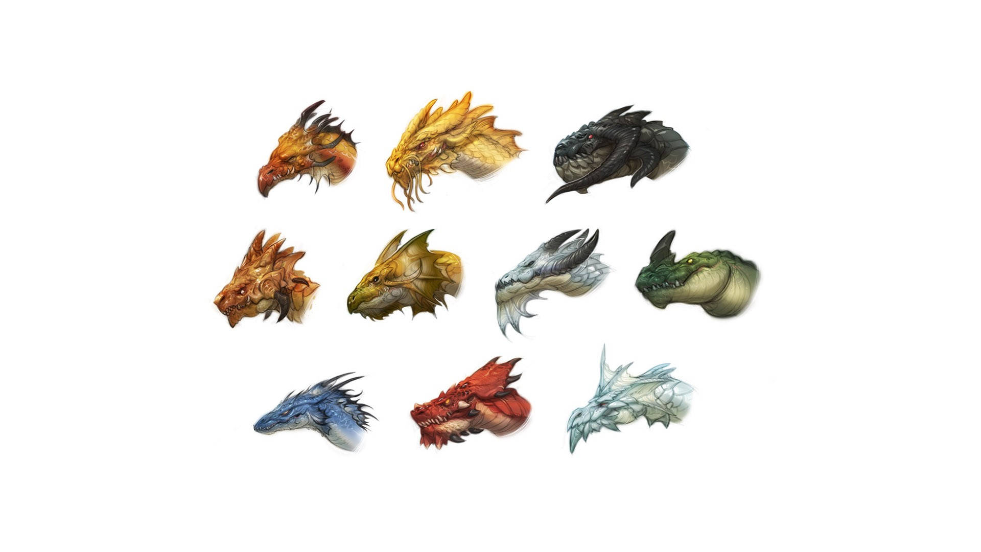 HD Dragon, dragon heads, white background, Full HD Desktop Wallpaper