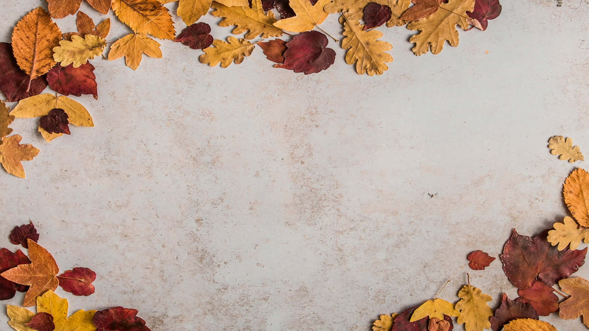autumn leaves, warm hues, textured off-white surface, Full HD Desktop Wallpaper