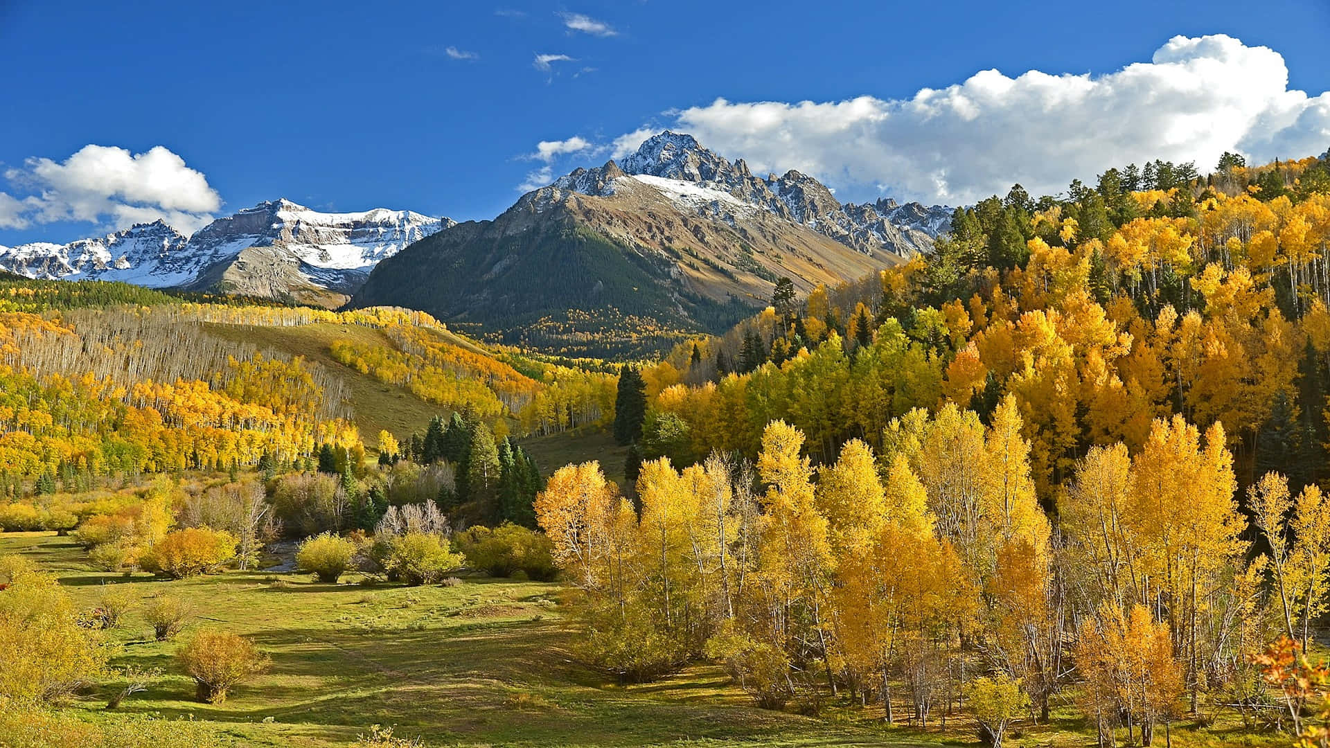autumn mountain majesty, golden aspen trees, snow-capped mountains, Full HD Desktop Wallpaper