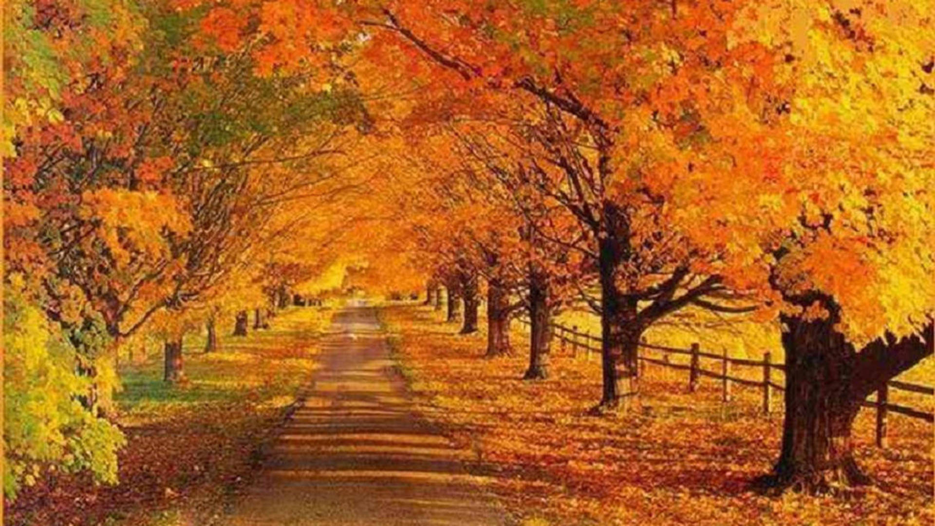 autumn trees, winding path, vibrant orange and yellow, Full HD Desktop Wallpaper