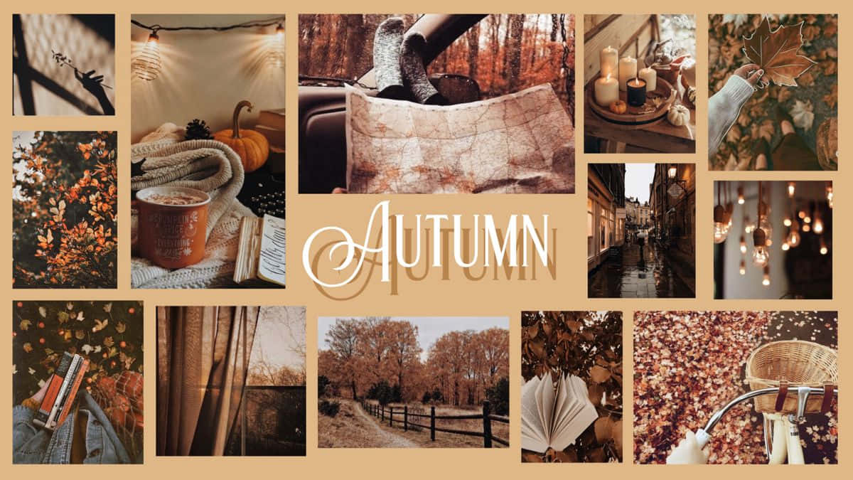 fall, autumn, pumpkins, SD Desktop Wallpaper