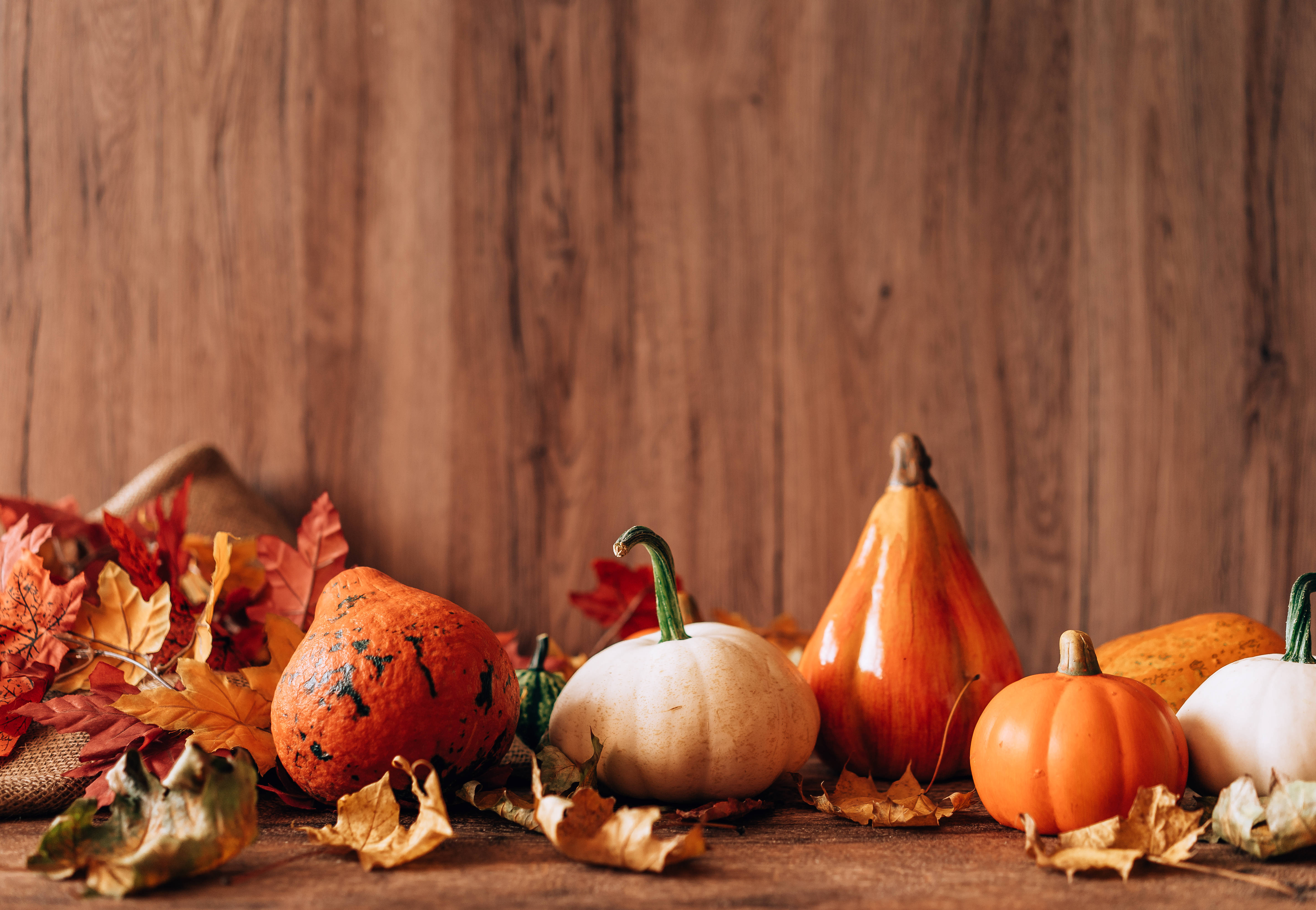 rustic autumn still life, pumpkins, colorful fallen leaves, 5K Desktop Wallpaper