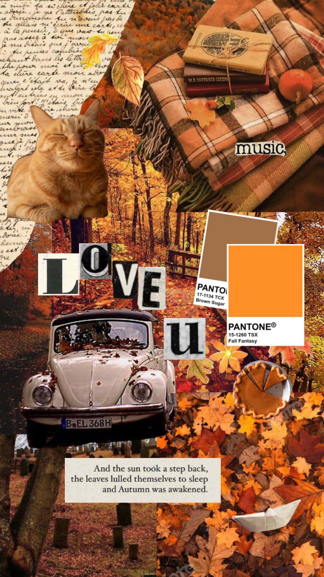 fall collage desktop, sleeping cat, vintage car, Full HD Phone Wallpaper