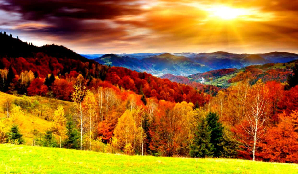 Sloping Hills, autumn, golden sunset, SD Desktop Wallpaper