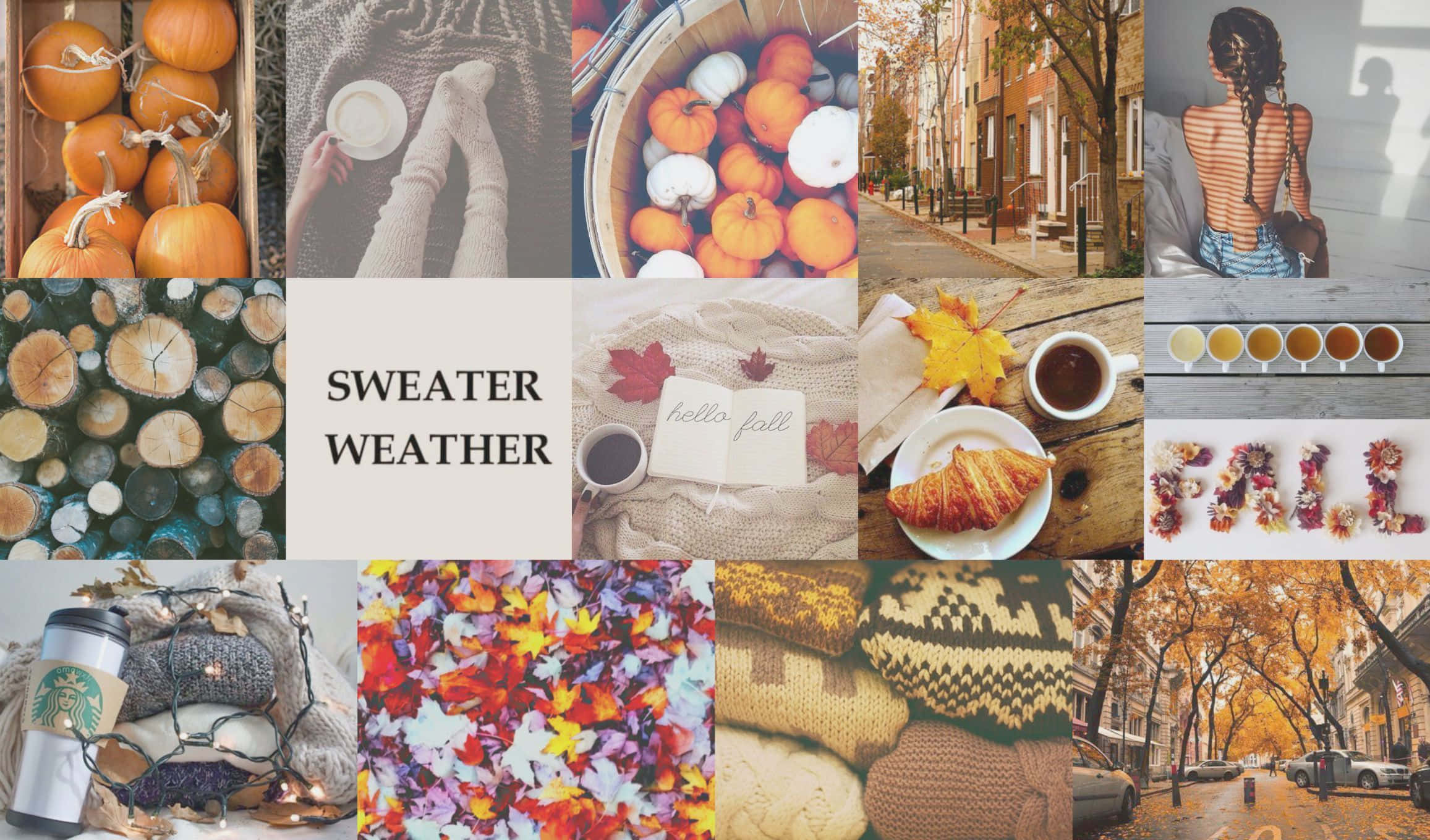 fall collage desktop, autumn collage, pumpkins, Full HD Desktop Wallpaper