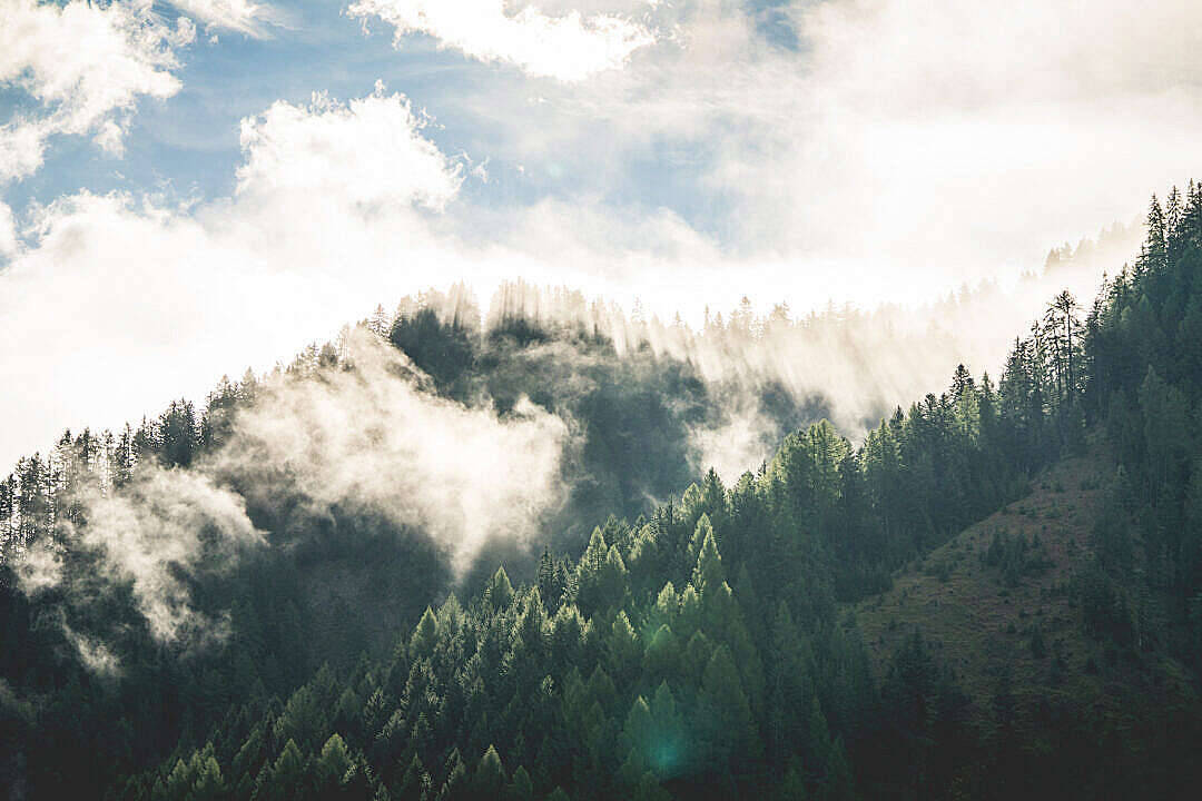 scenic hd forest, sunlight, clouds, SD Desktop Wallpaper