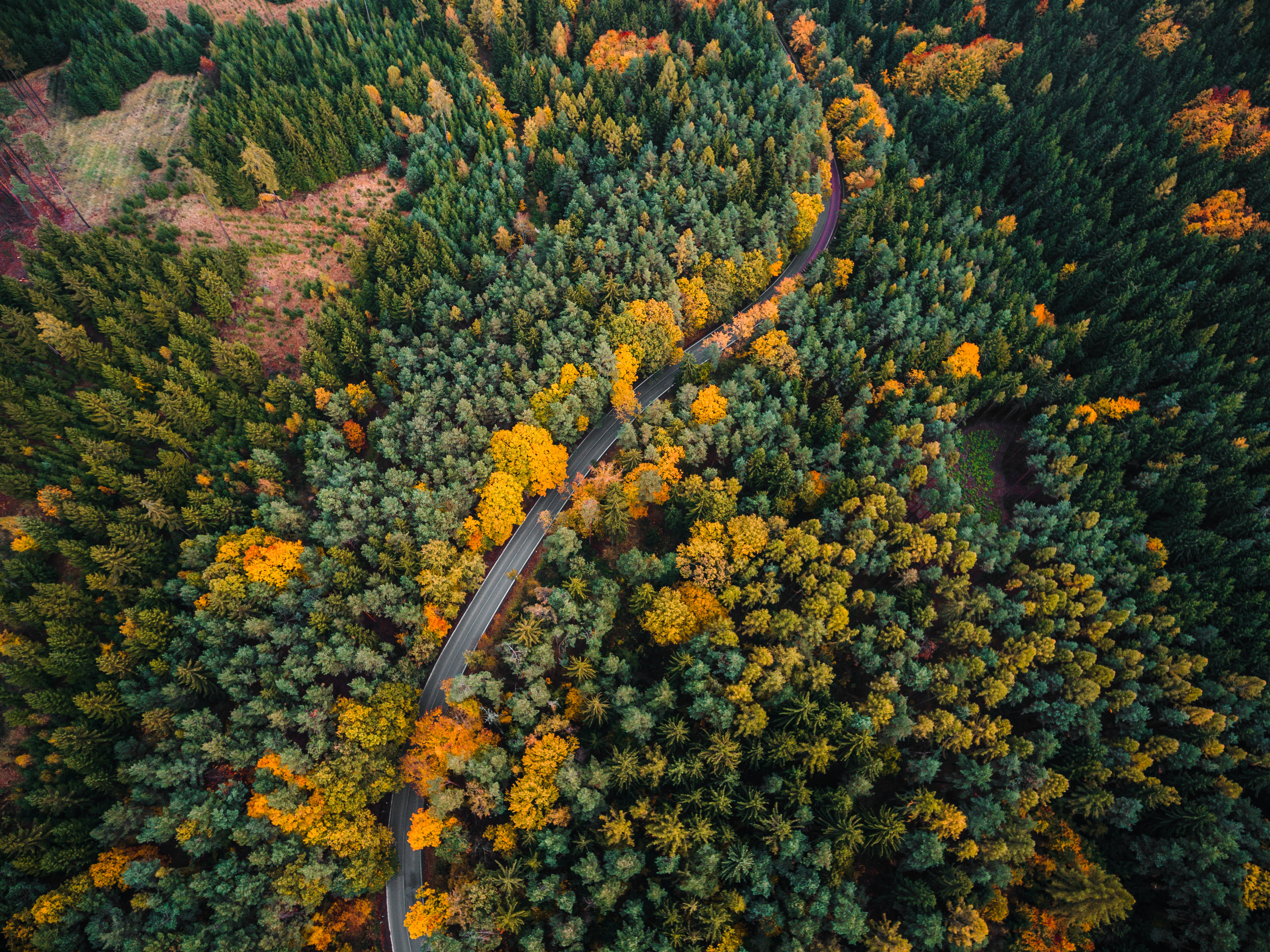 HD Forest, aerial view, winding road, 4K Desktop Wallpaper