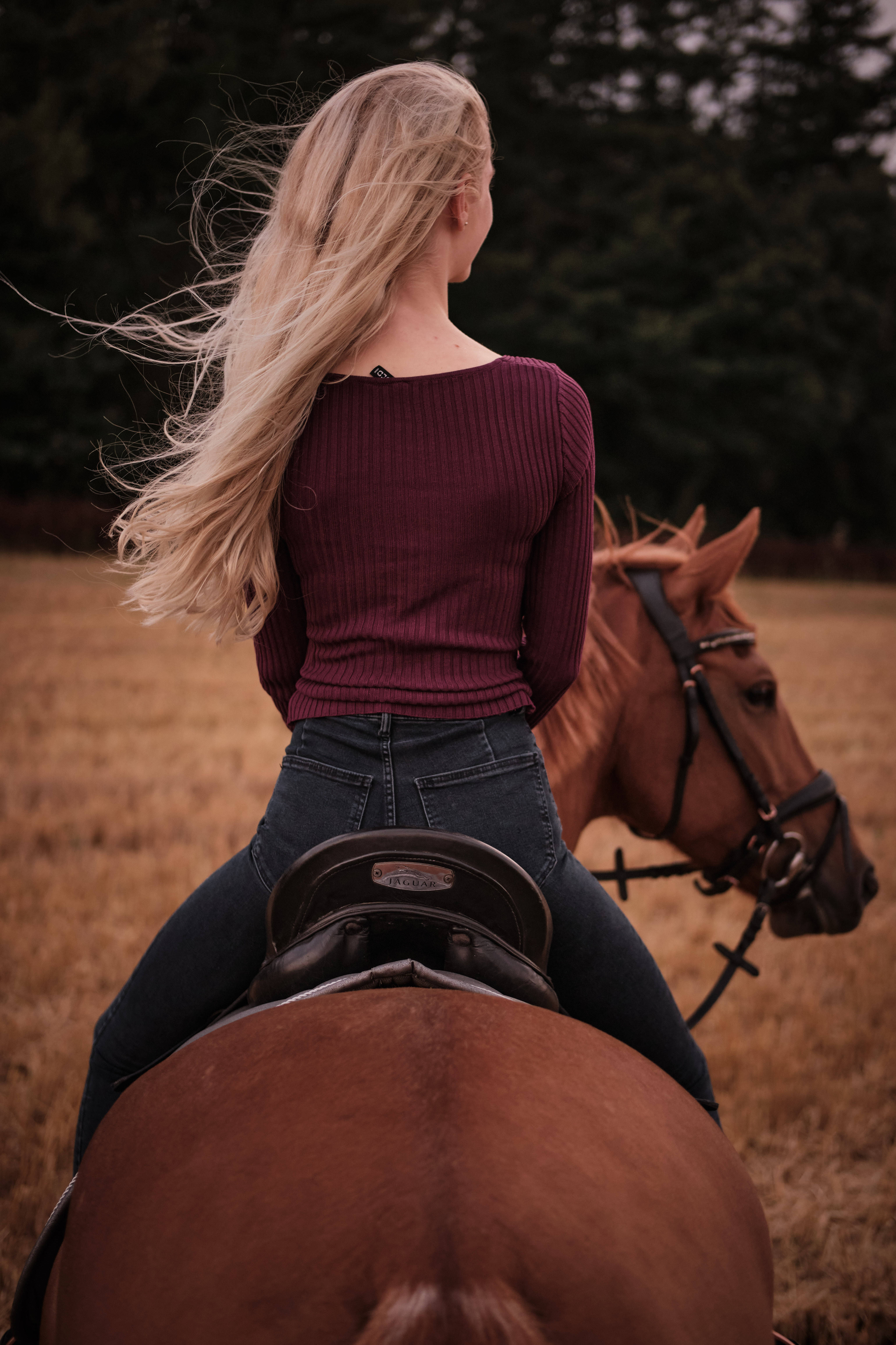 blonde woman, maroon top, chestnut horse, 5K Phone Wallpaper
