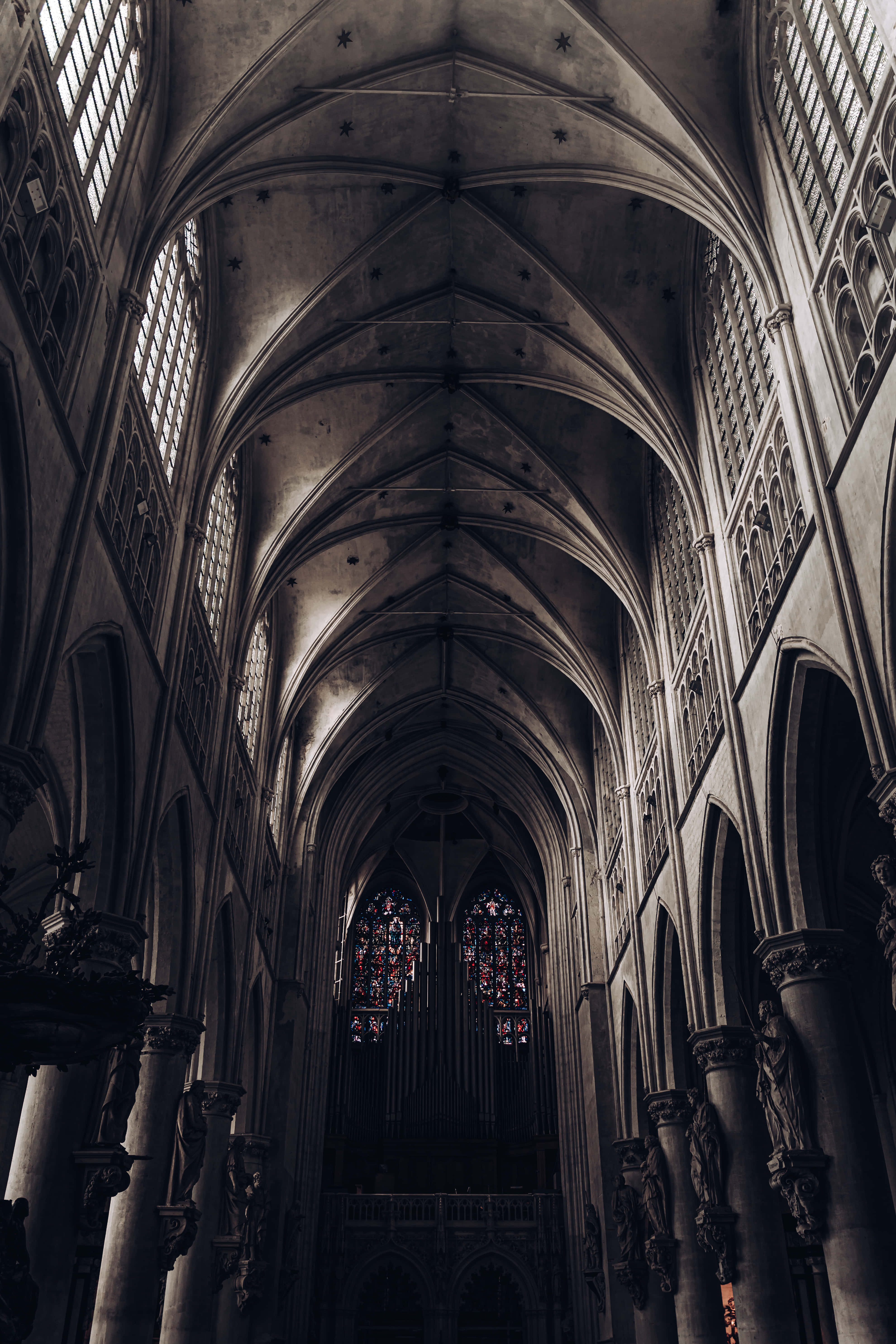 Gothic cathedral, vaulted ceiling, stained glass windows, 5K Phone Wallpaper