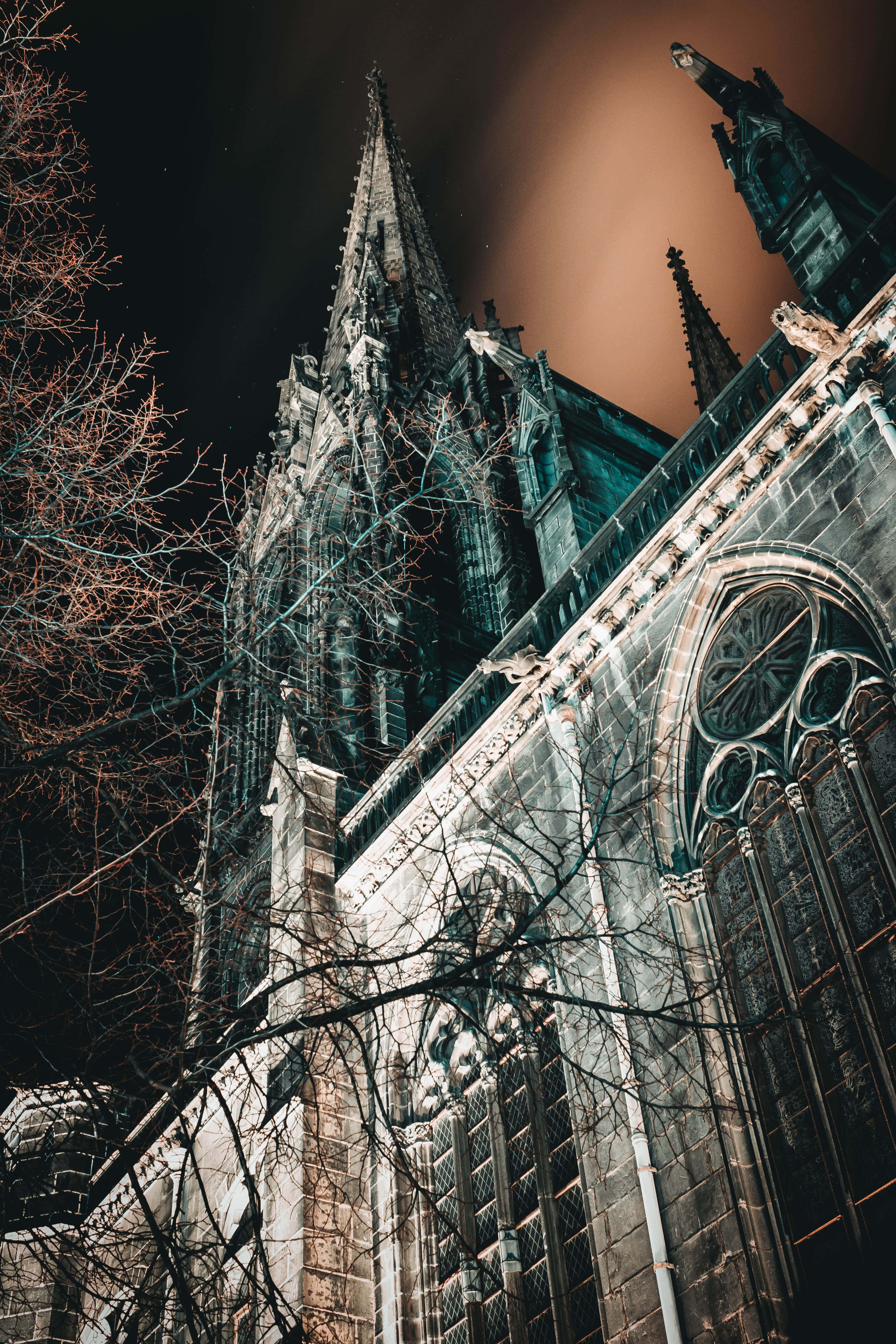 gothic cathedral, clock tower, bare tree branches, 4K Phone Wallpaper