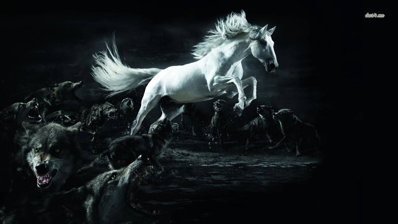 white horse, snarling wolves, dark stormy sky, HD Desktop Wallpaper