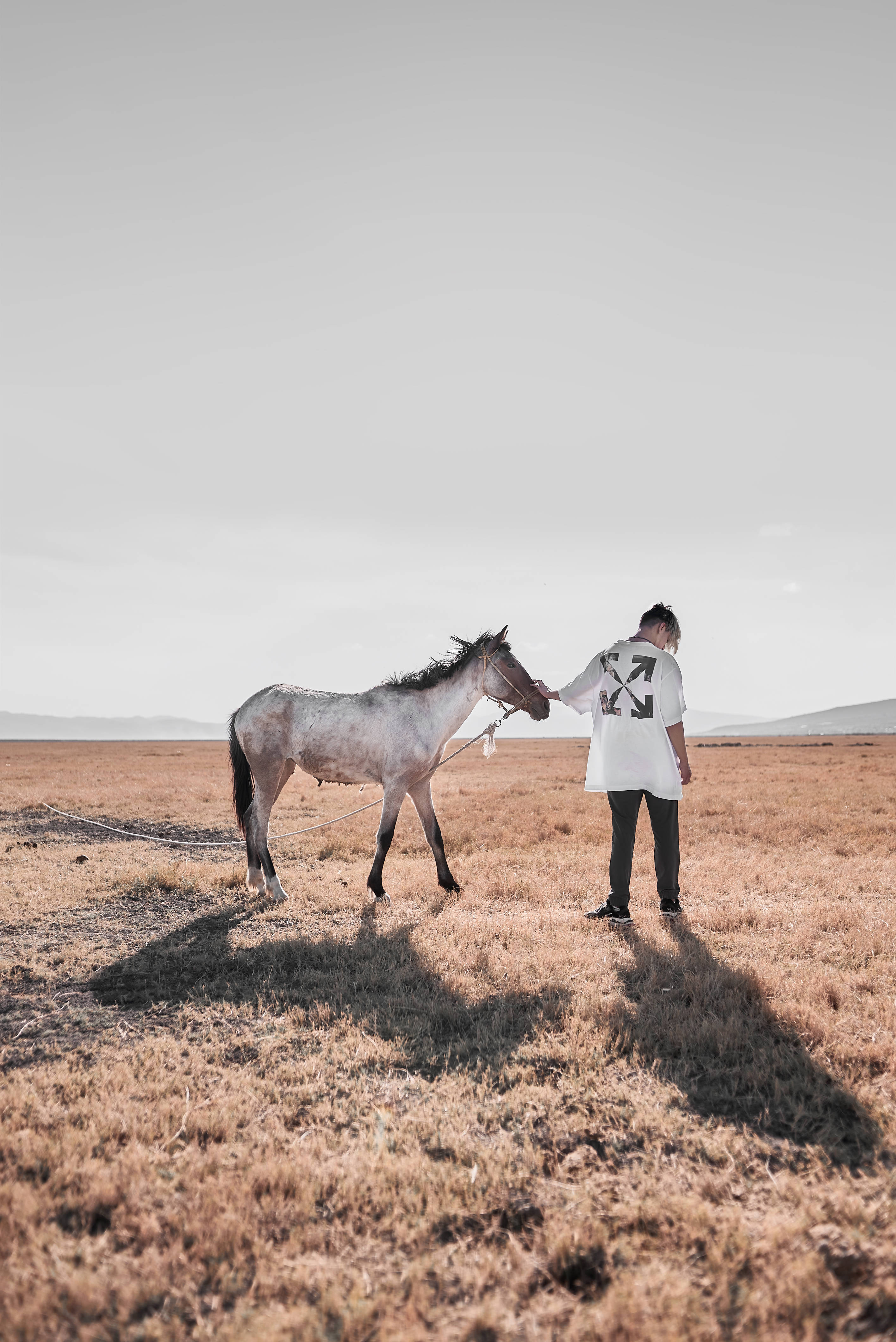 white long sleeve shirt, brown pants, white horse, 4K Phone Wallpaper
