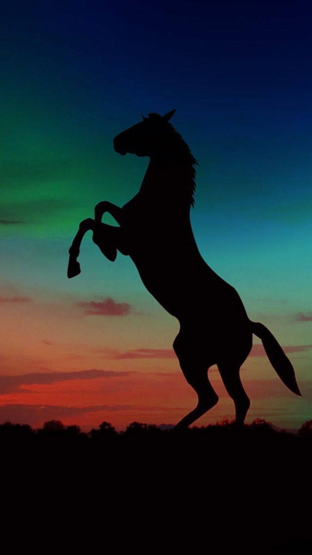 cute horse silhouette, twilight sky, fiery orange, Full HD Phone Wallpaper