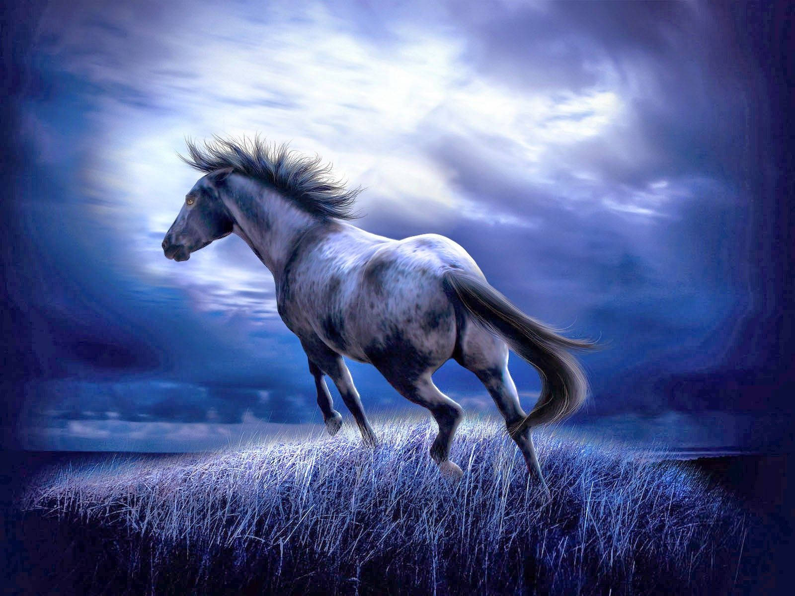 dappled gray horse, glowing blue grass, moonlit sky, HD Desktop Wallpaper