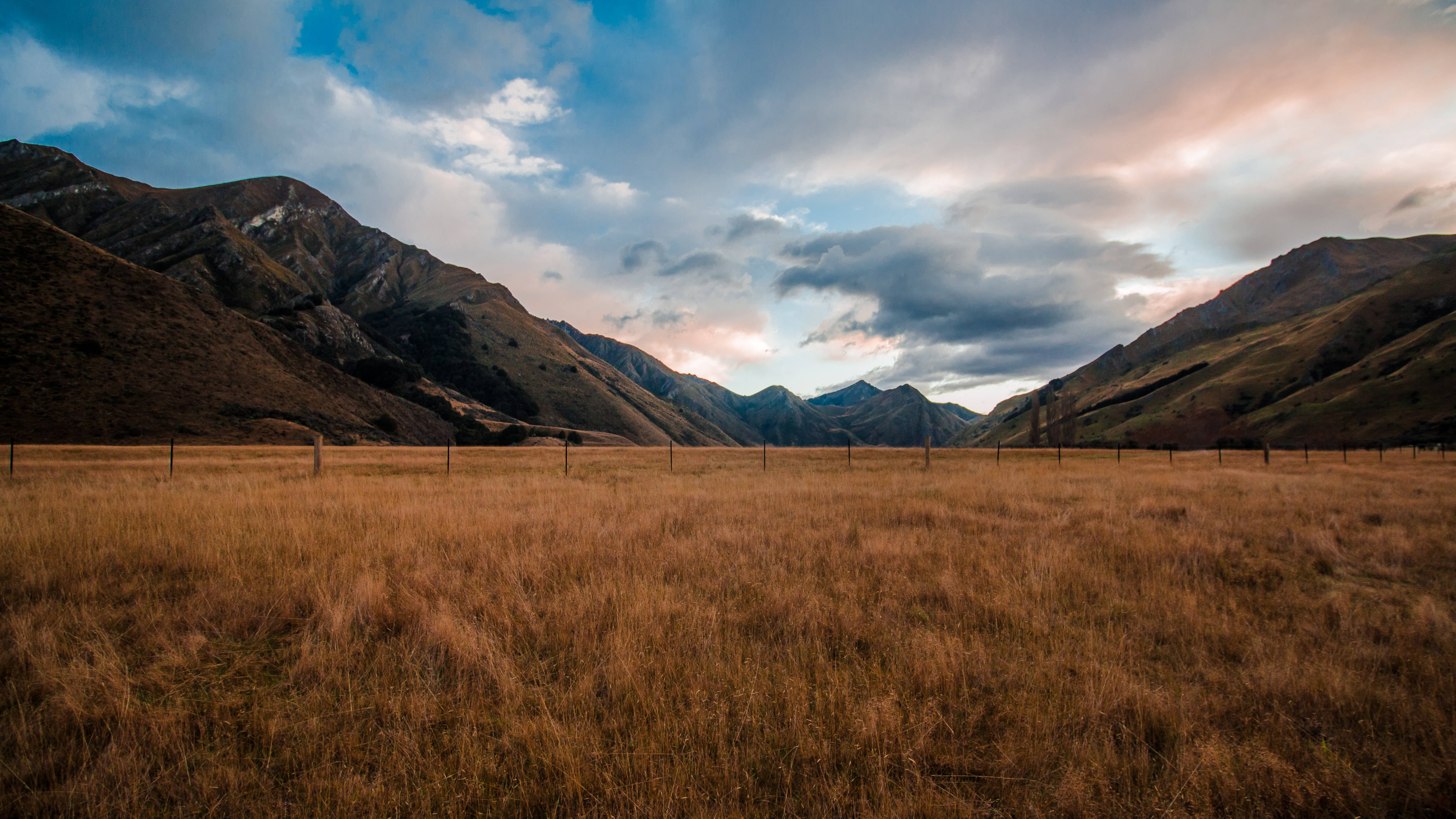 mountainside, dry field, golden grassy field, 5K Desktop Wallpaper