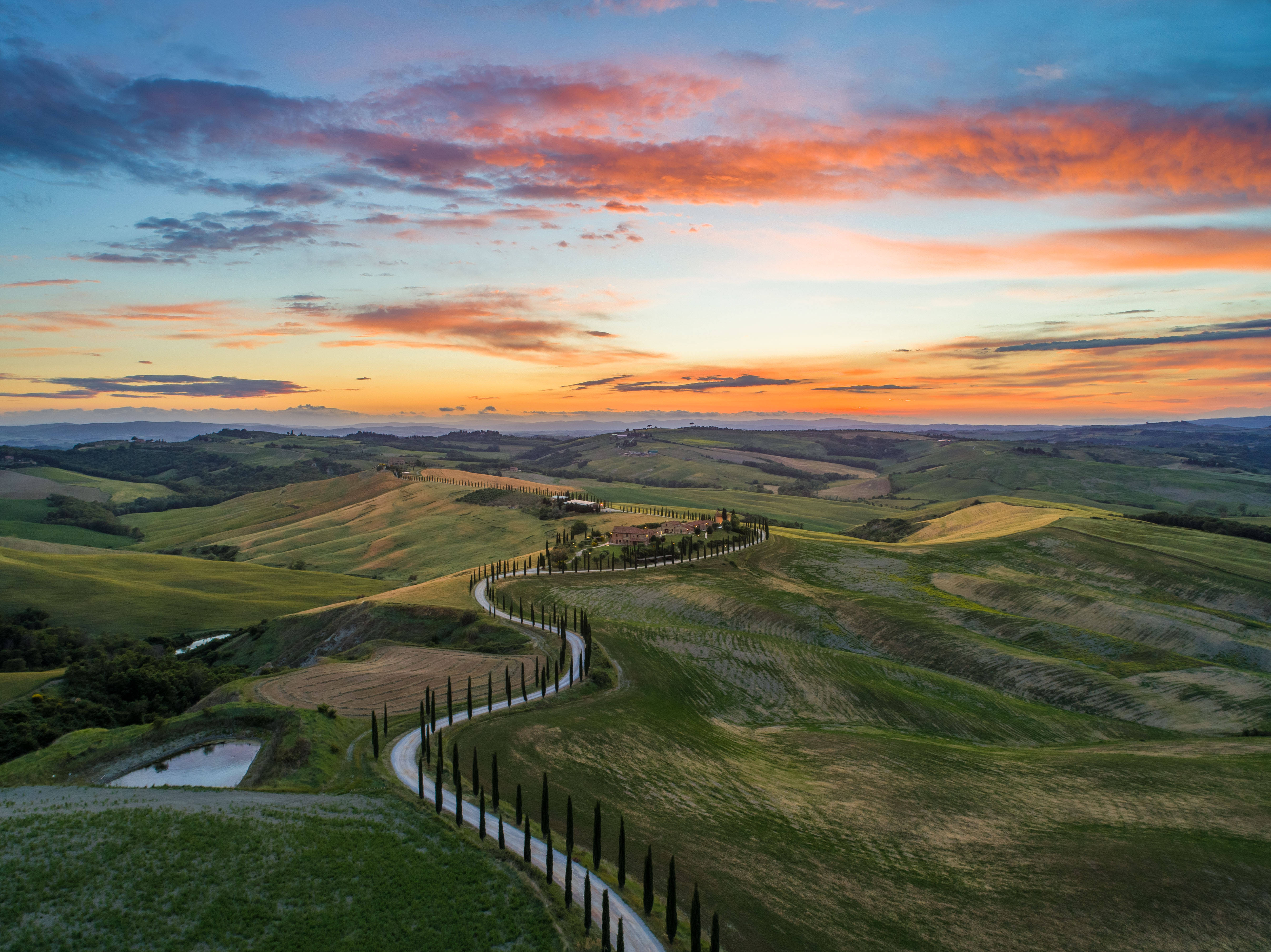 sunset road, cypress trees, rolling green hills, 4K Desktop Wallpaper