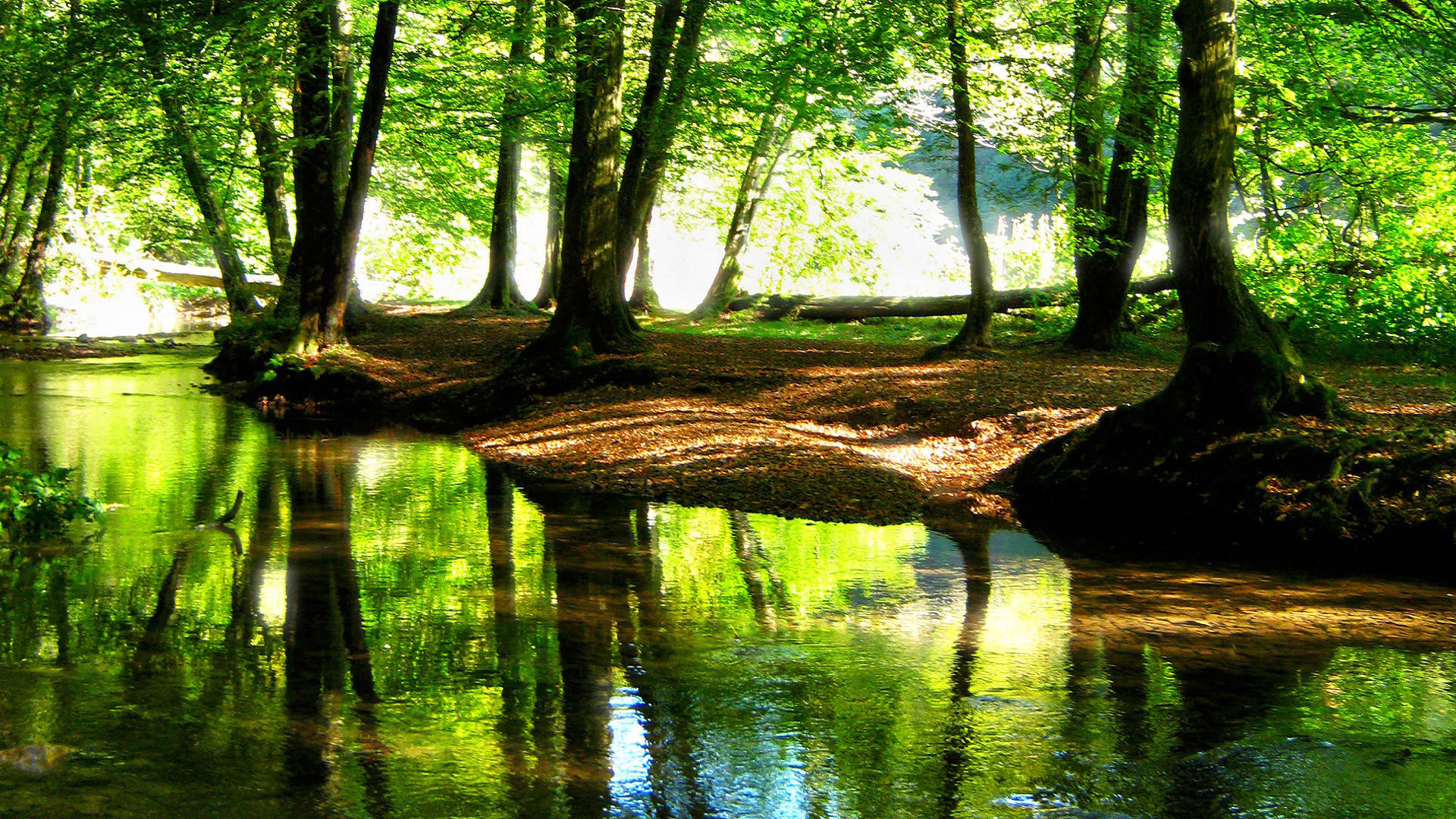 HD Landscape, green forest, stream, Full HD Desktop Wallpaper