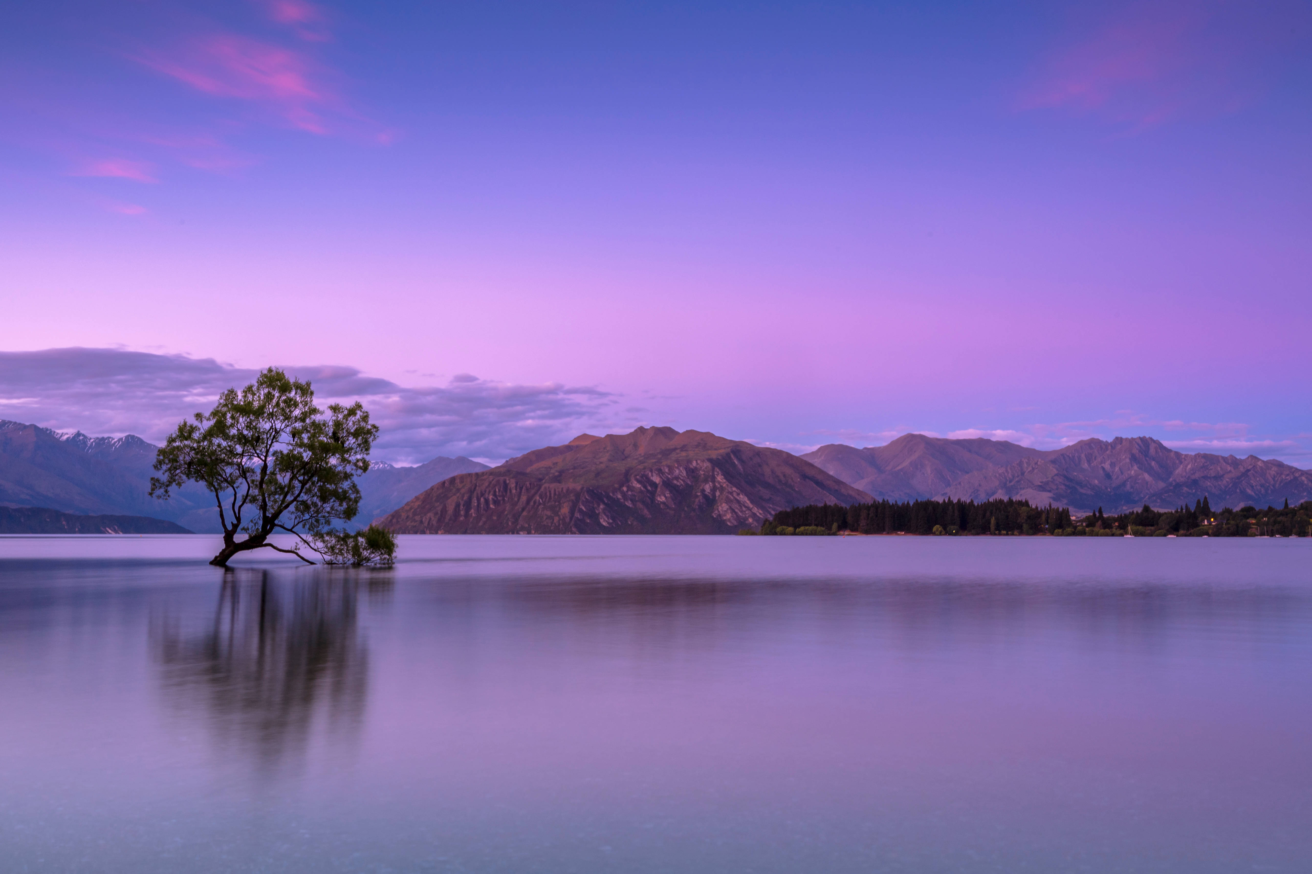 dusk, tranquil plains, lone tree, 5K Desktop Wallpaper