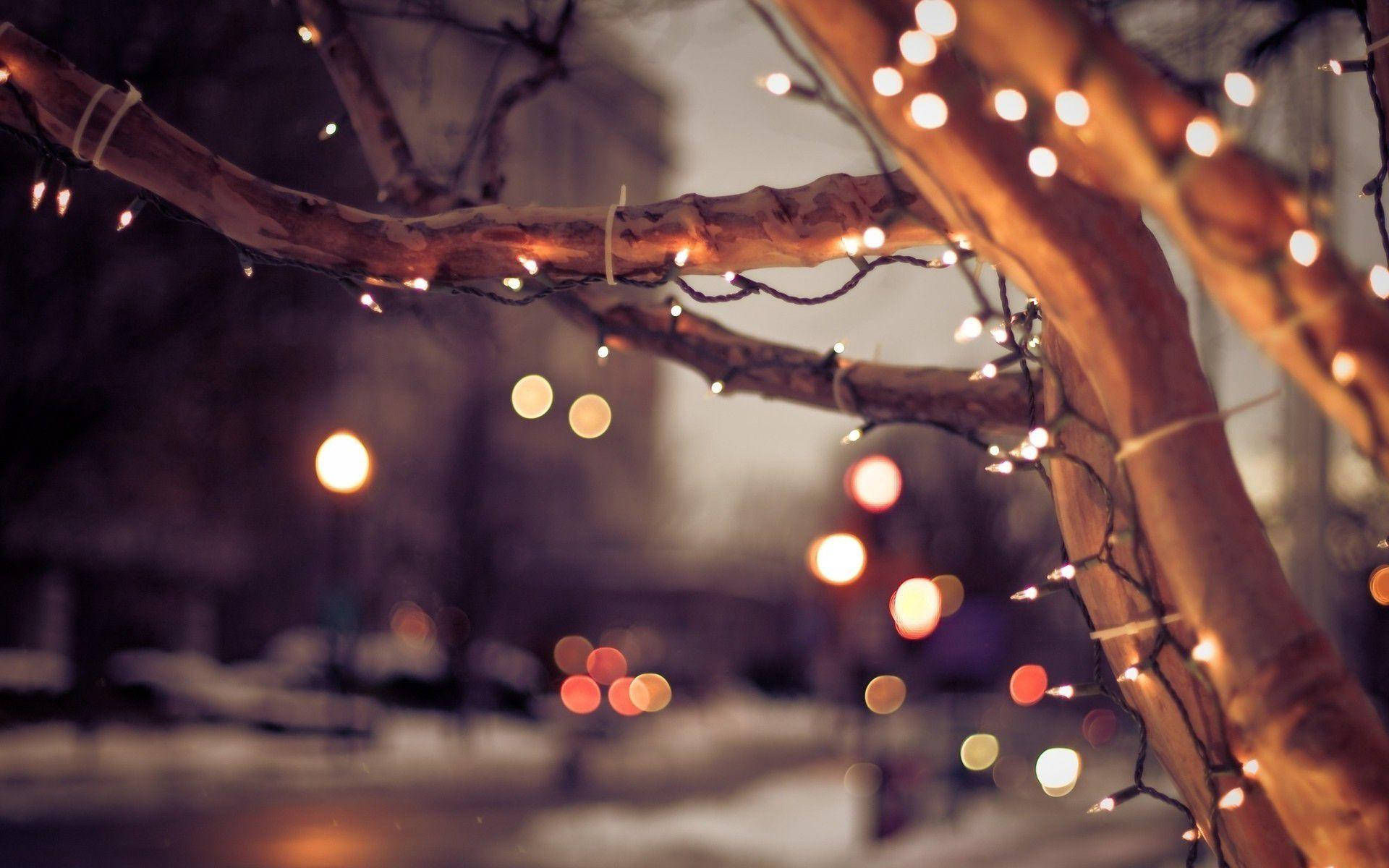 tree branches, warm string lights, winter, Full HD Desktop Wallpaper