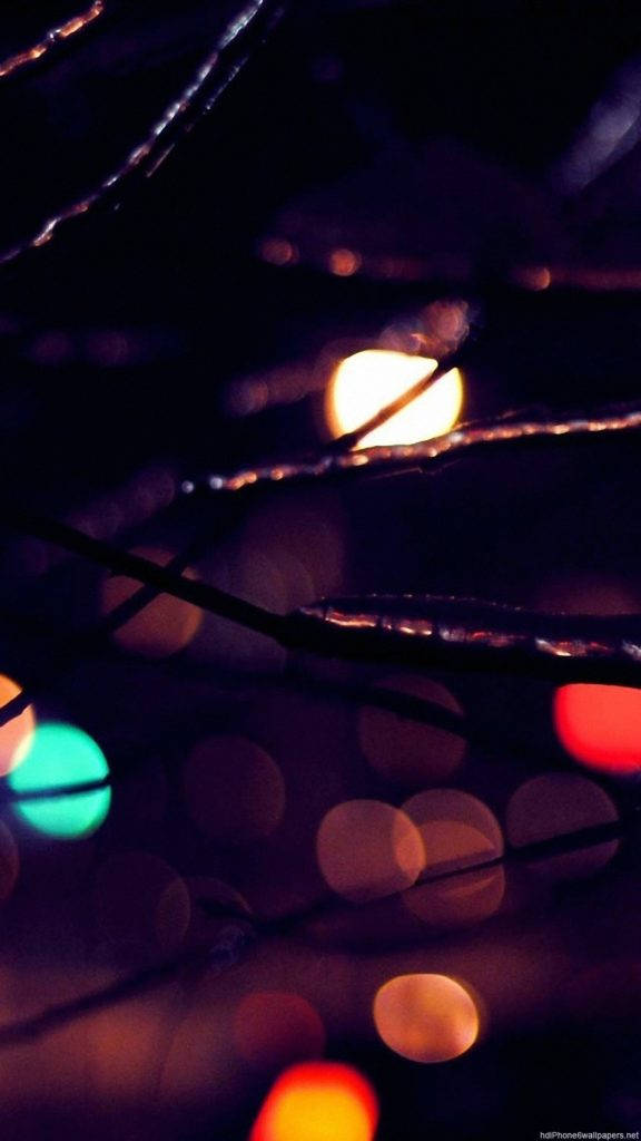 branches, bokeh lights, warm cool tones, SD Phone Wallpaper