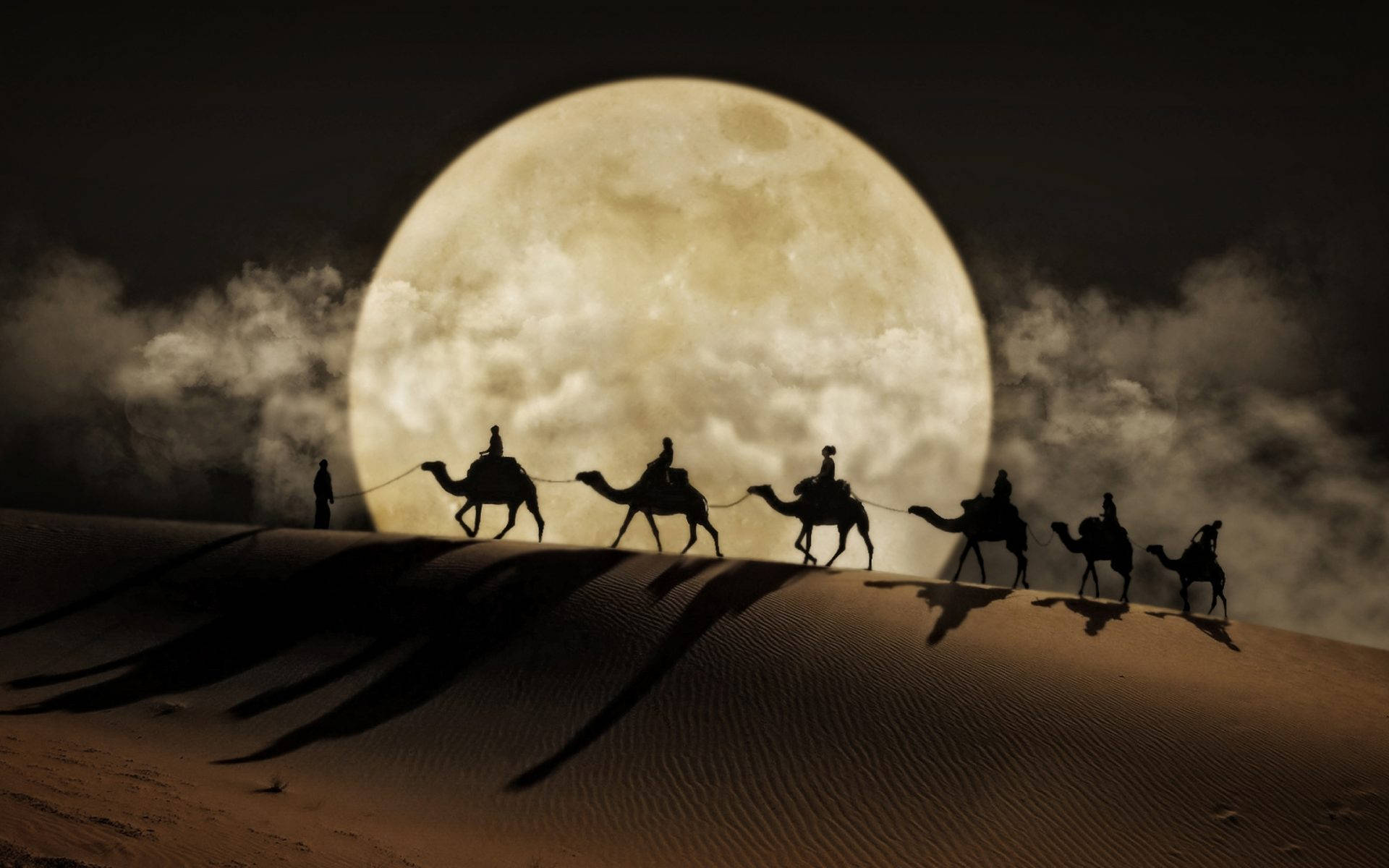 HD Moon, desert riders, camels, Full HD Desktop Wallpaper