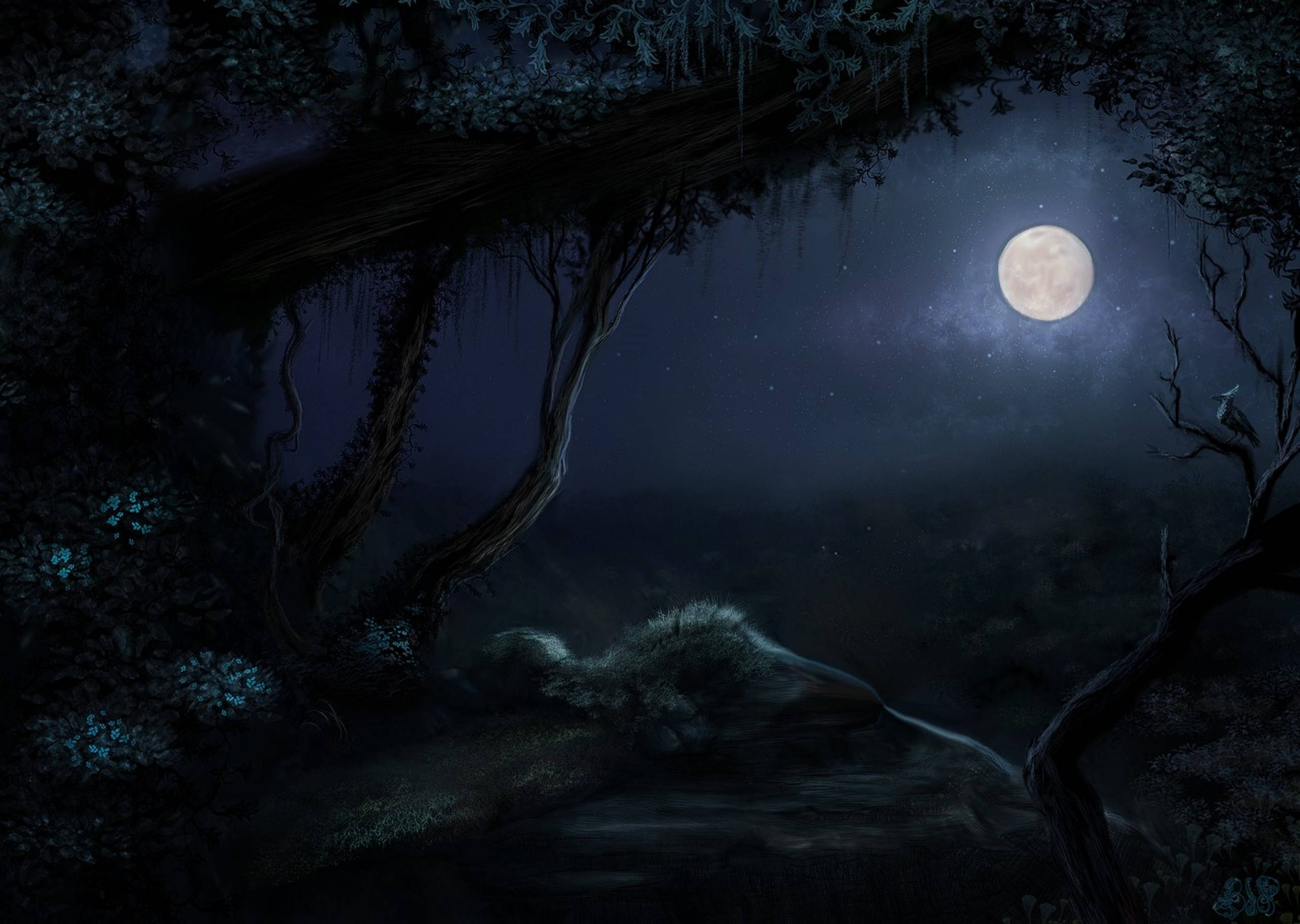 HD Moon, dark forest, twisted trees, 2K Desktop Wallpaper