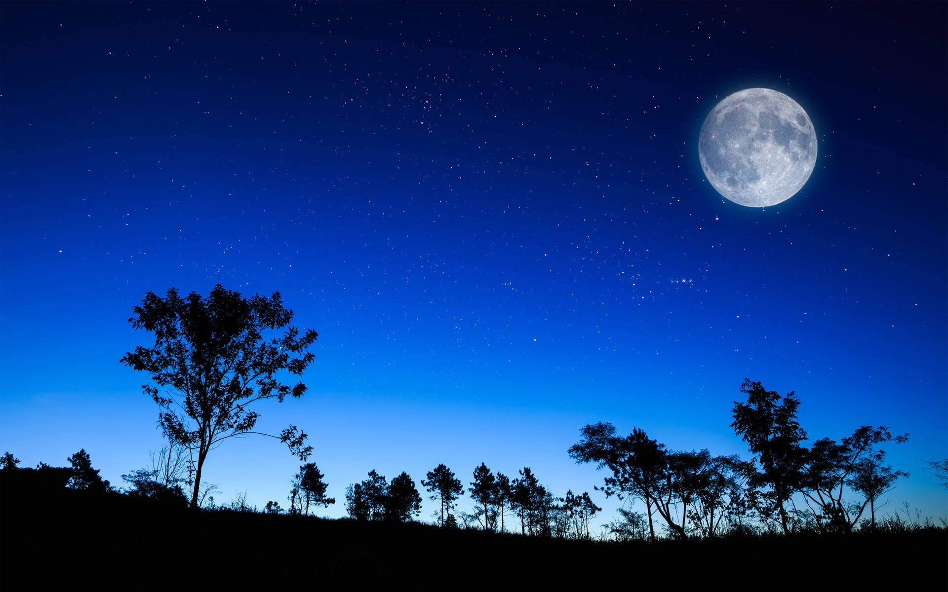 full moon, twinkling stars, silhouetted trees, Full HD Desktop Wallpaper