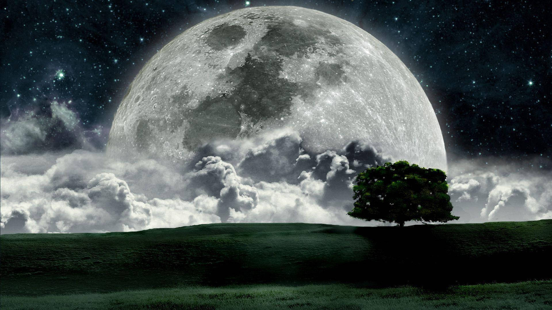 Moon, grass, hill, Full HD Desktop Wallpaper