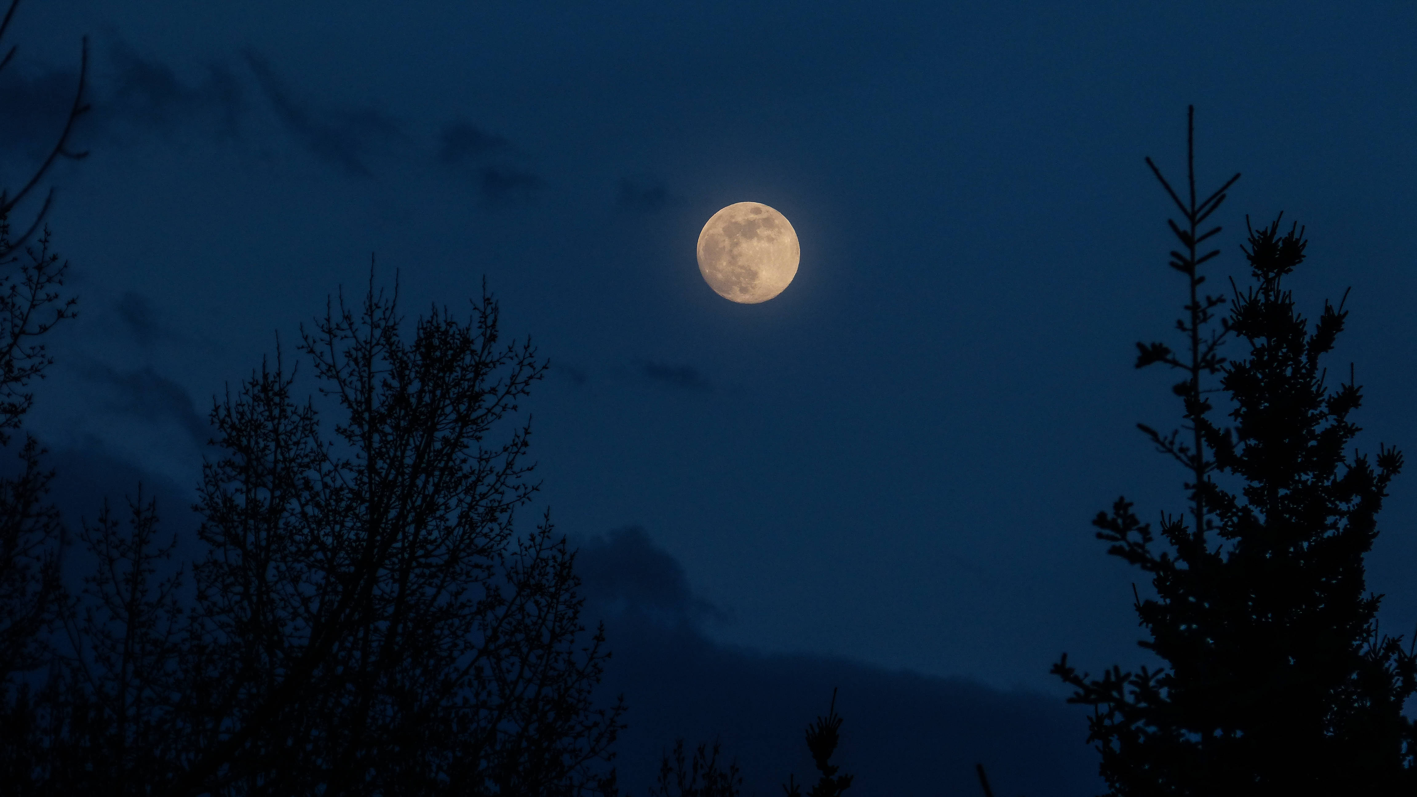 HD Moon, forest silhouette, full moon, 4K Desktop Wallpaper