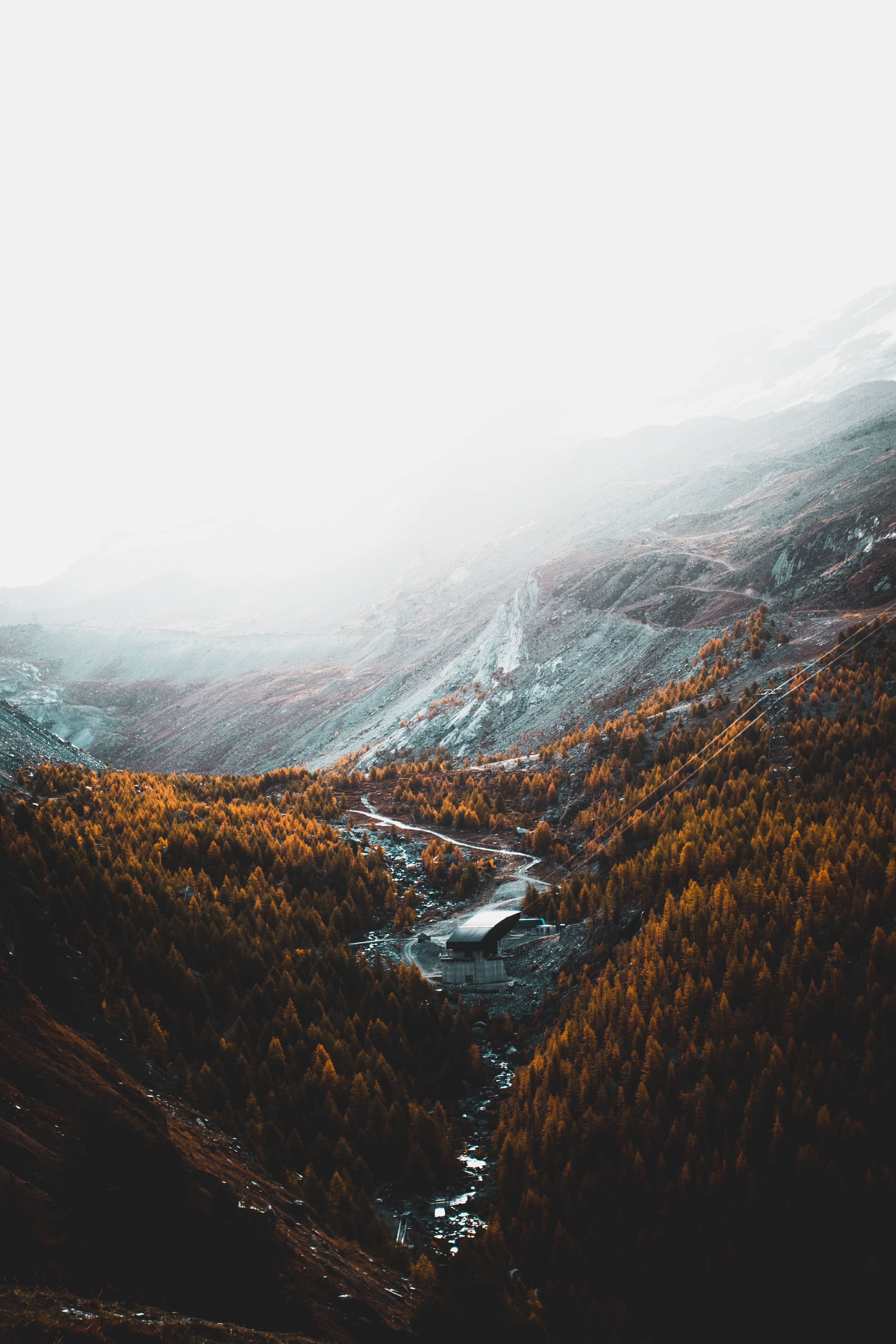 fall season, mountain, golden forests, 5K Phone Wallpaper