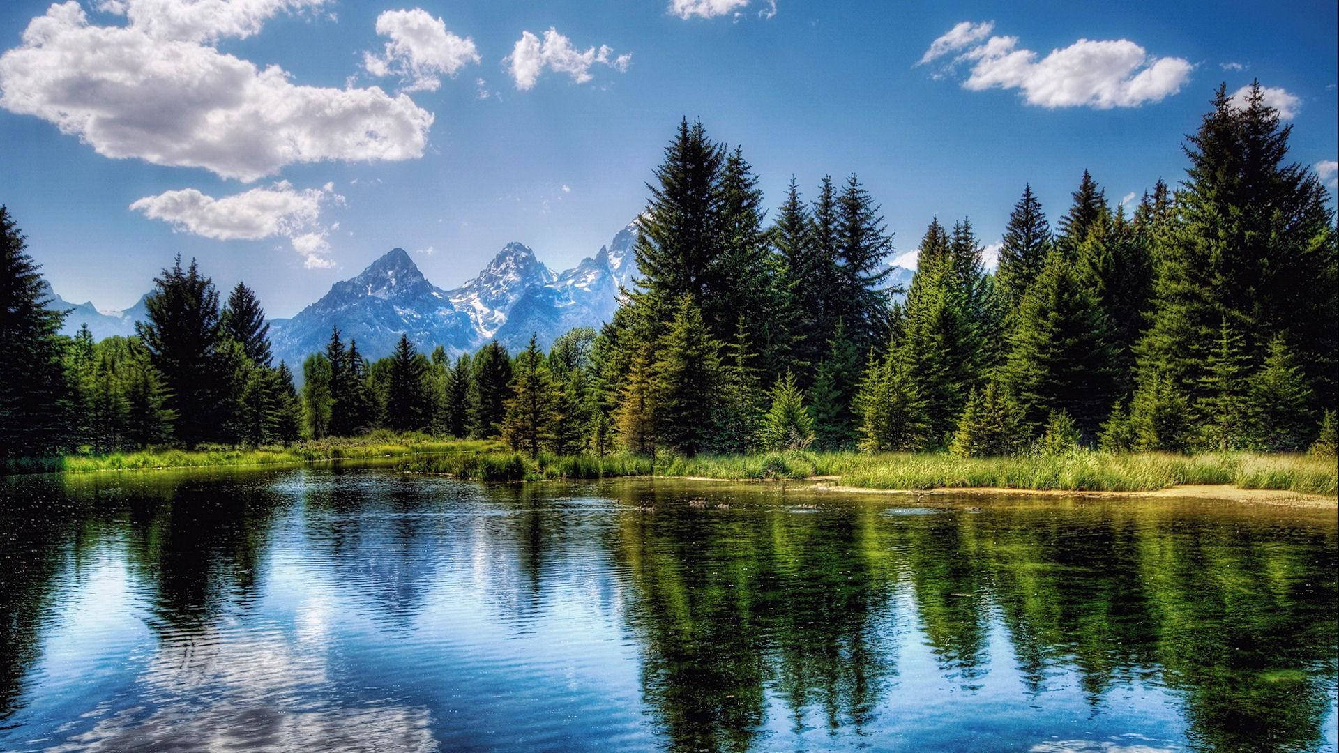 HD Mountain, forest, lake, Full HD Desktop Wallpaper