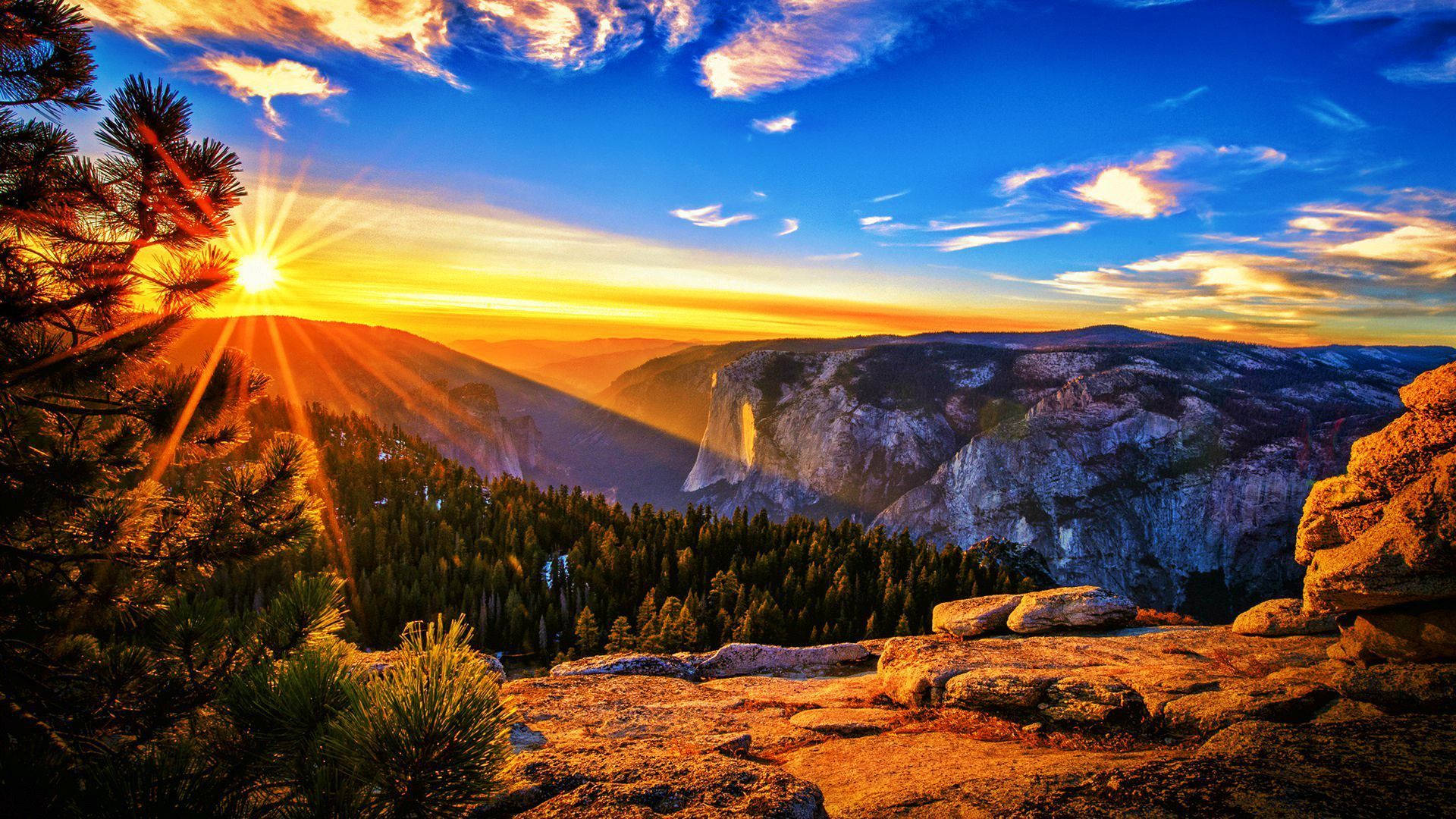 sunburst, pine trees, mountain valley, Full HD Desktop Wallpaper